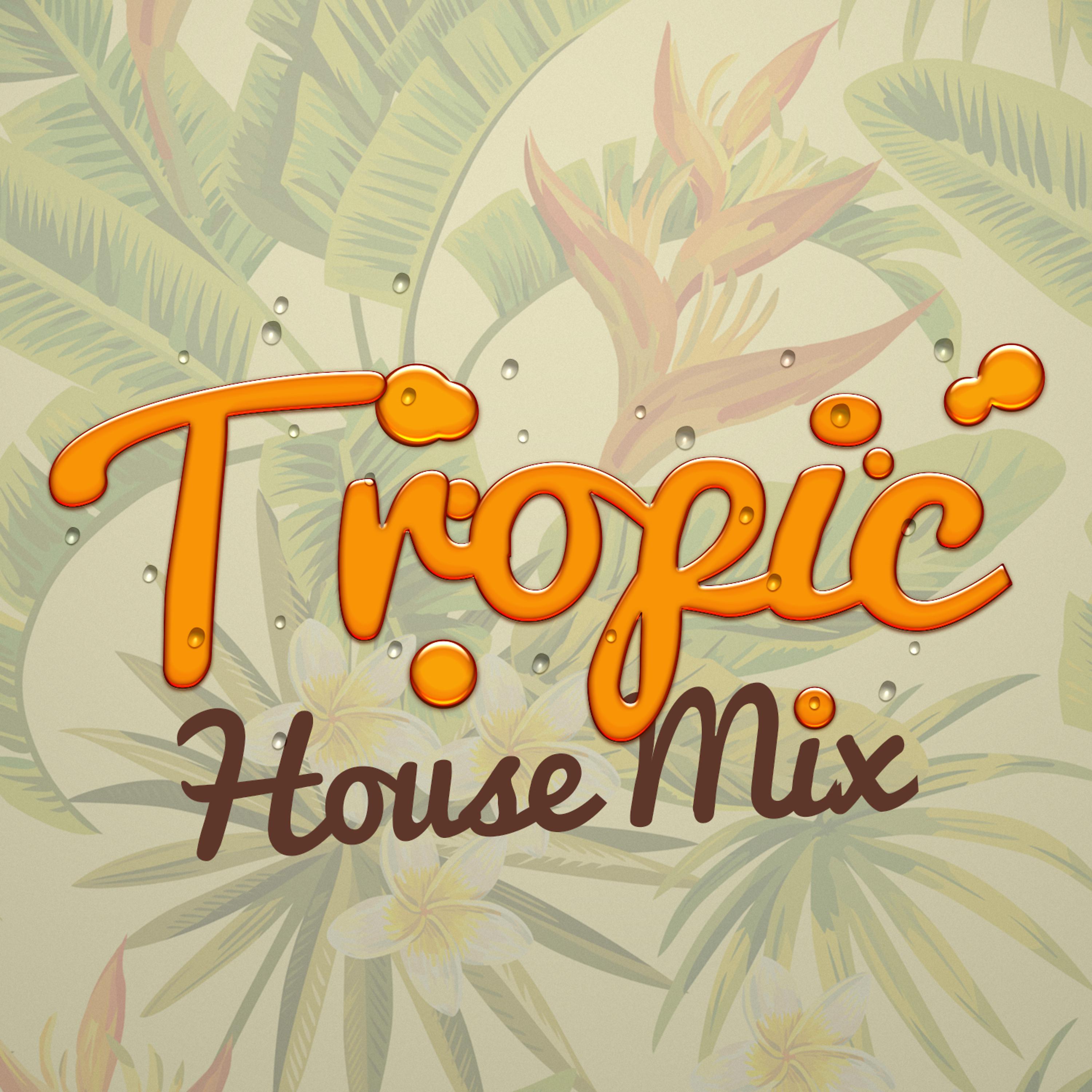 Постер альбома Tropic House Mix