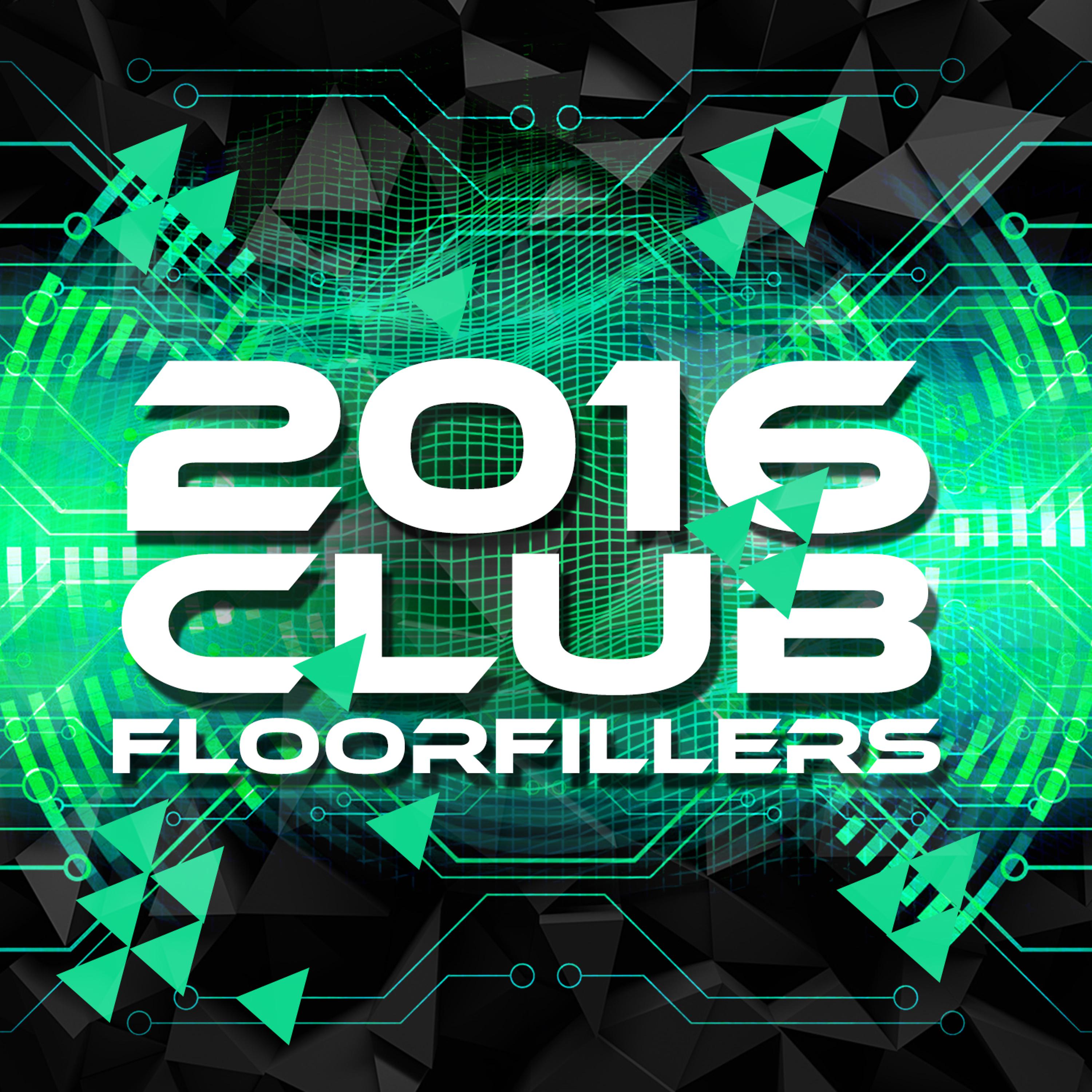Постер альбома 2016 Club Floorfillers