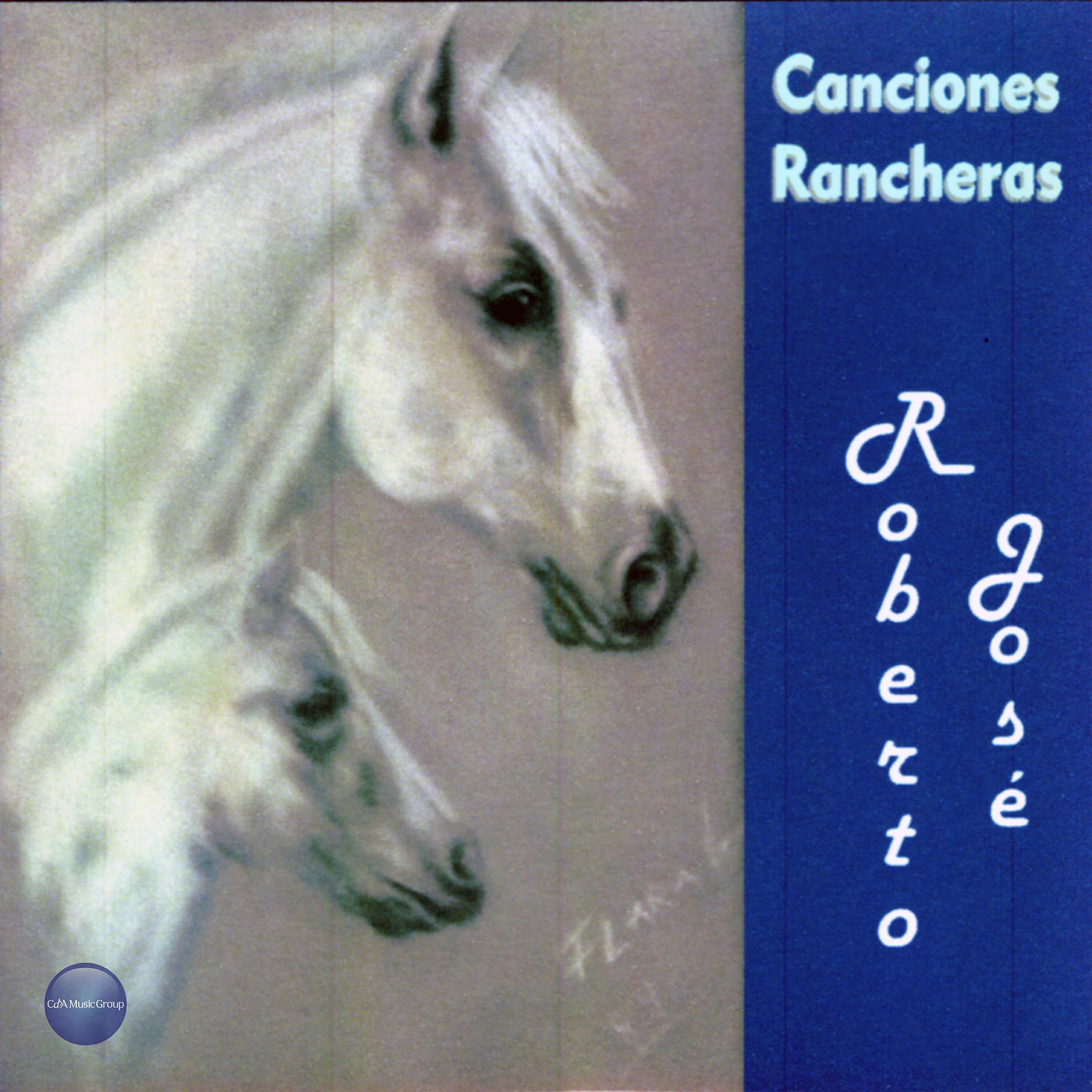 Roberto José - La Mano de Dios