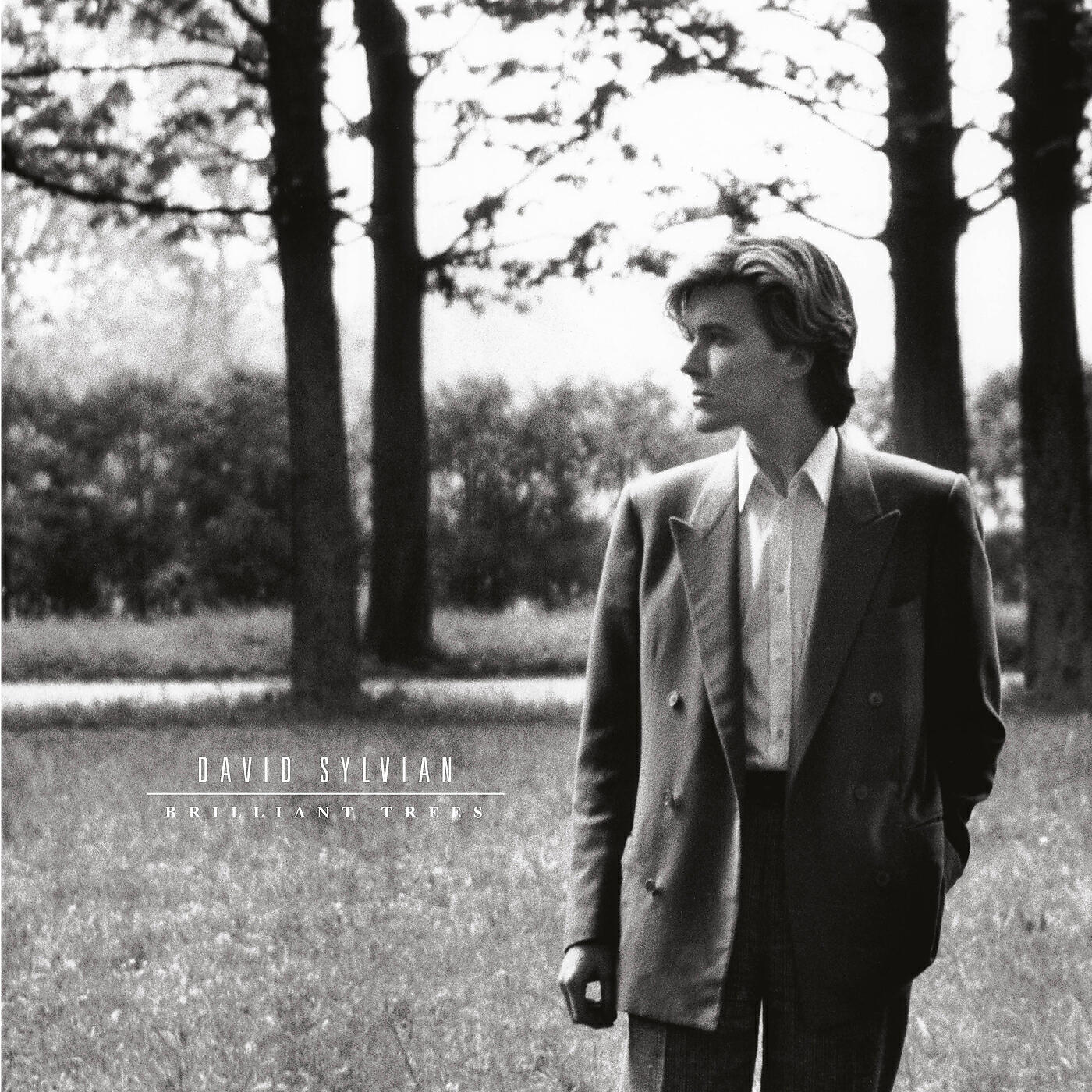 David Sylvian - The Ink In The Well