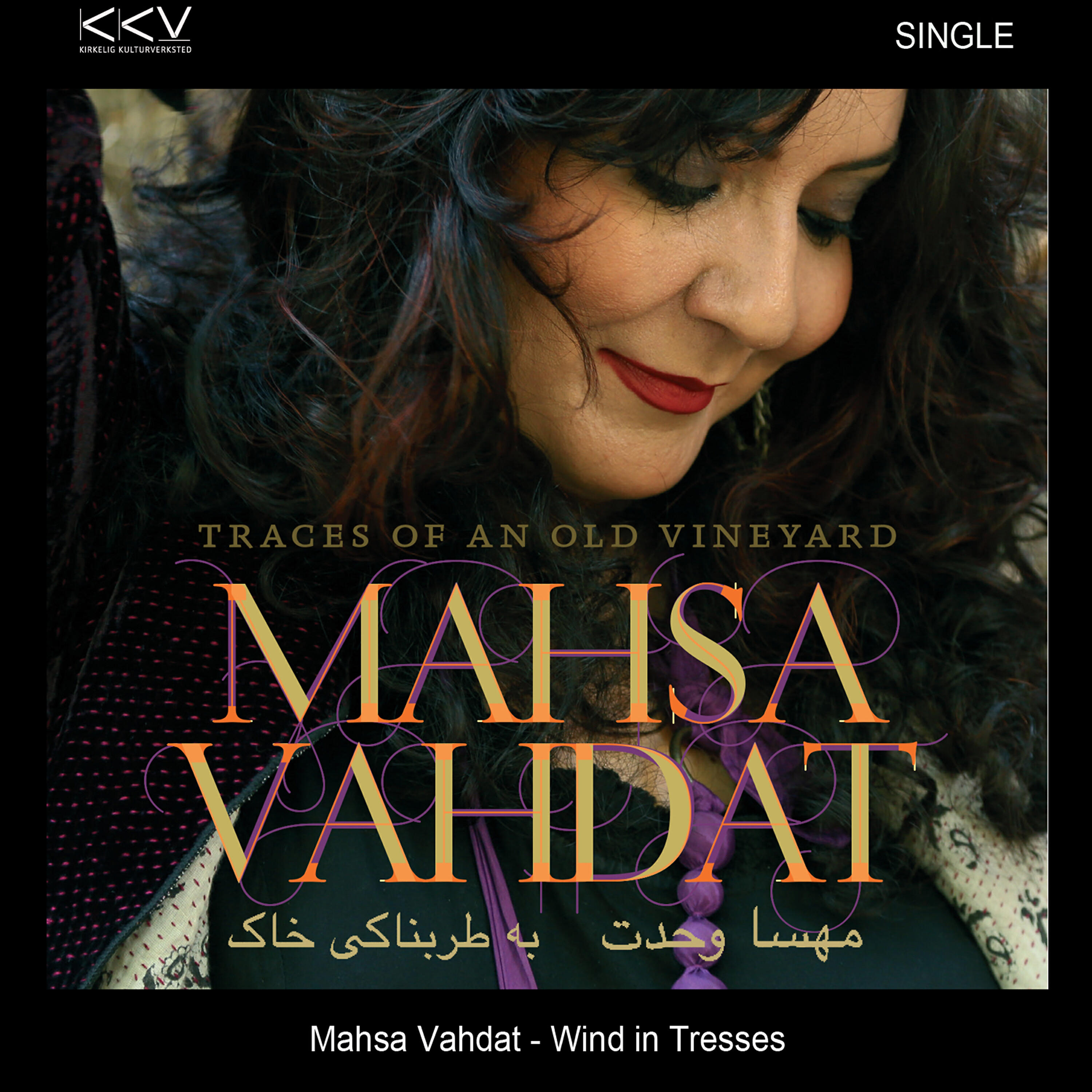 Mahsa Vahdat - Wind in Tresses