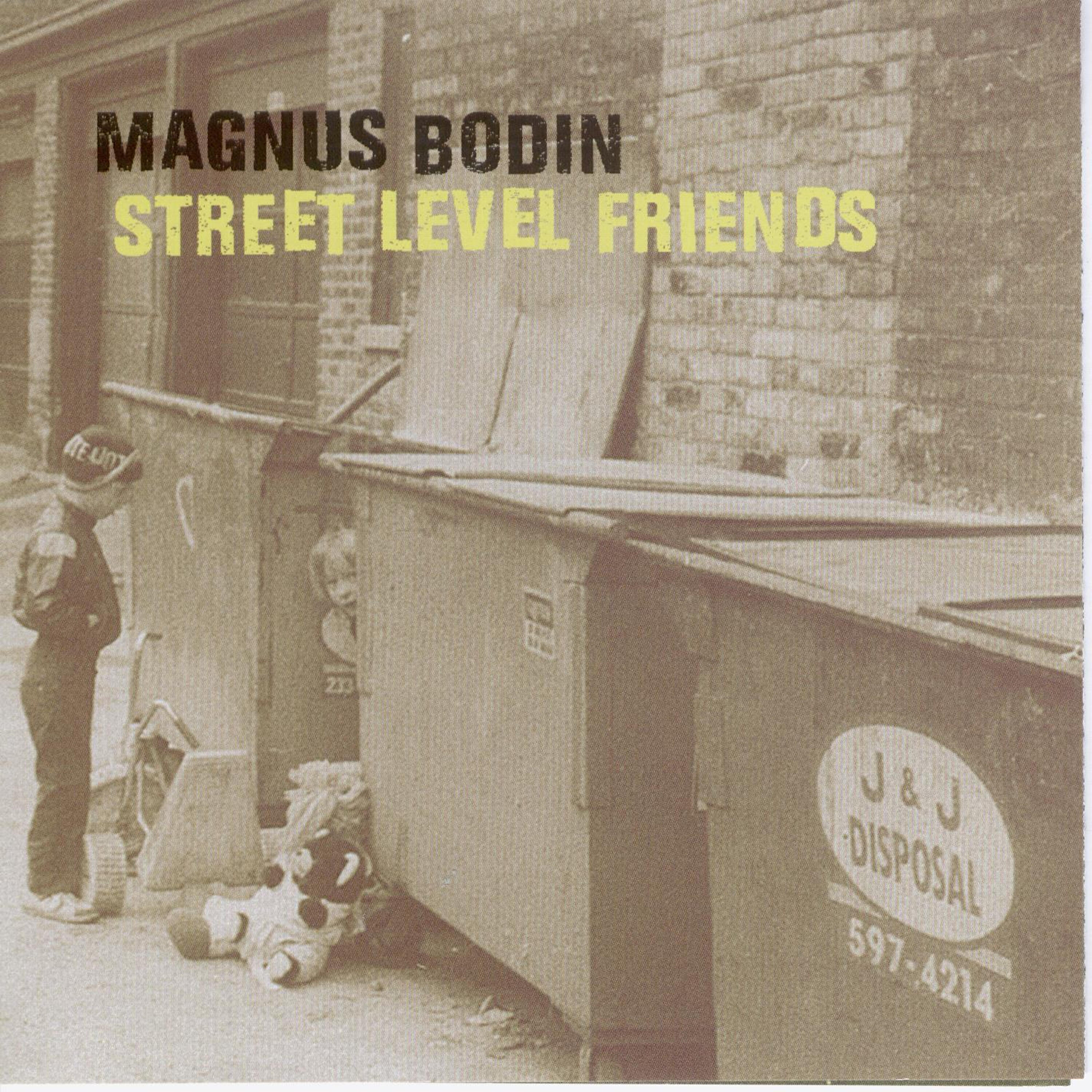 Magnus Bodin - Light Green Grass