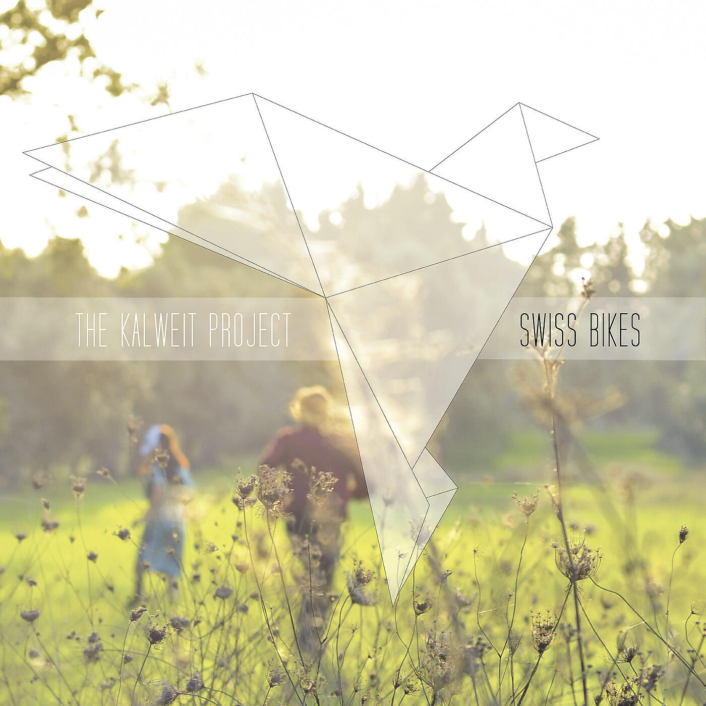 The Kalweit Project - Swiss Bikes