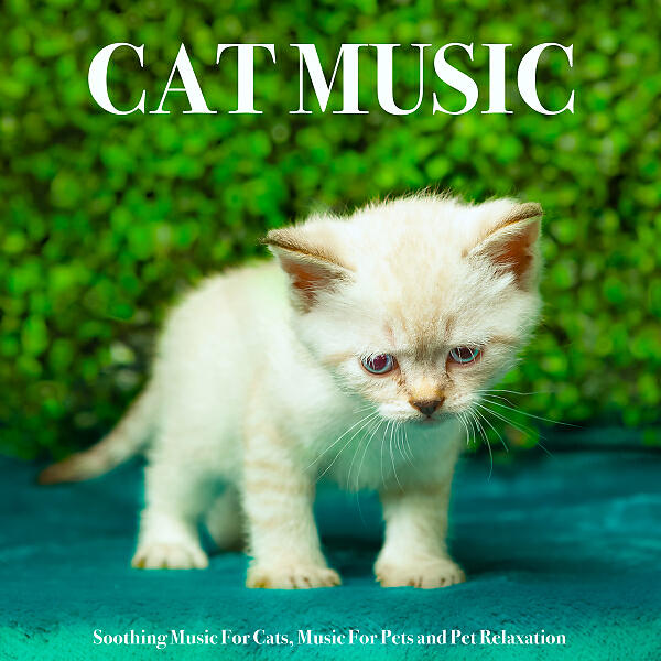Cat Music - Pet Relaxation Music For Dogs and Cats