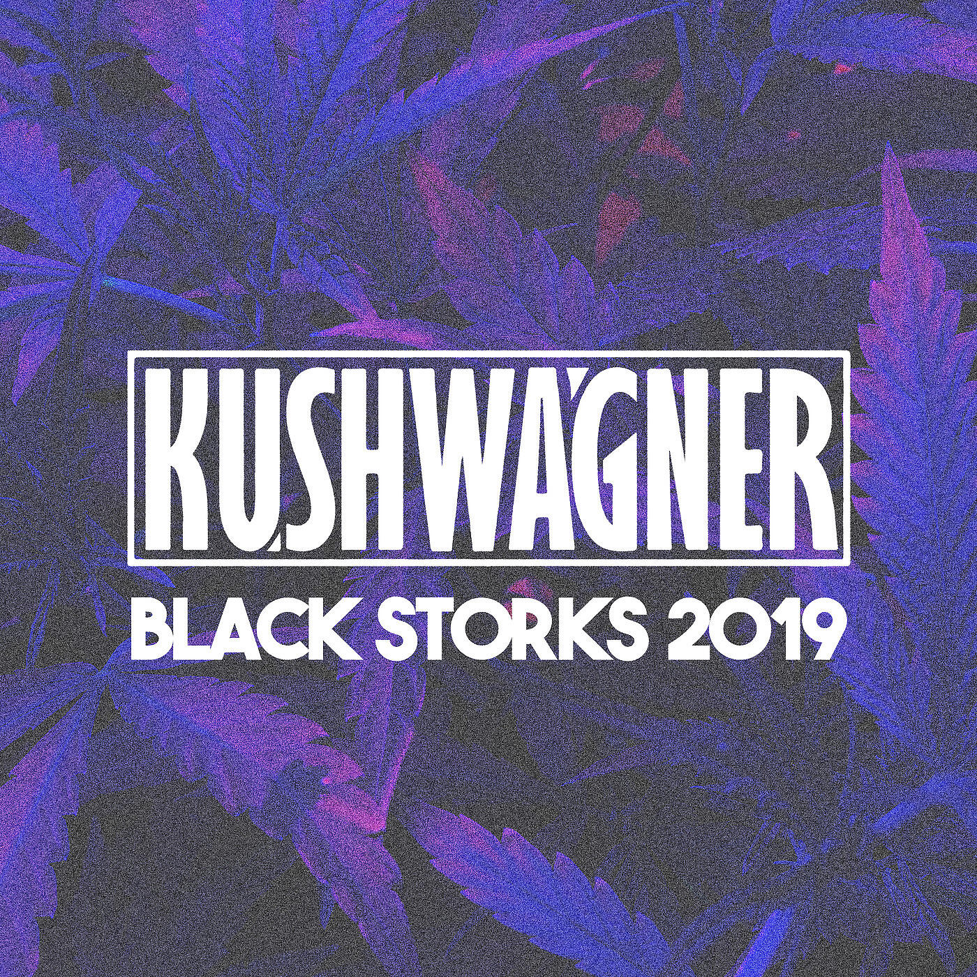Kushwagner - Black Storks 2019