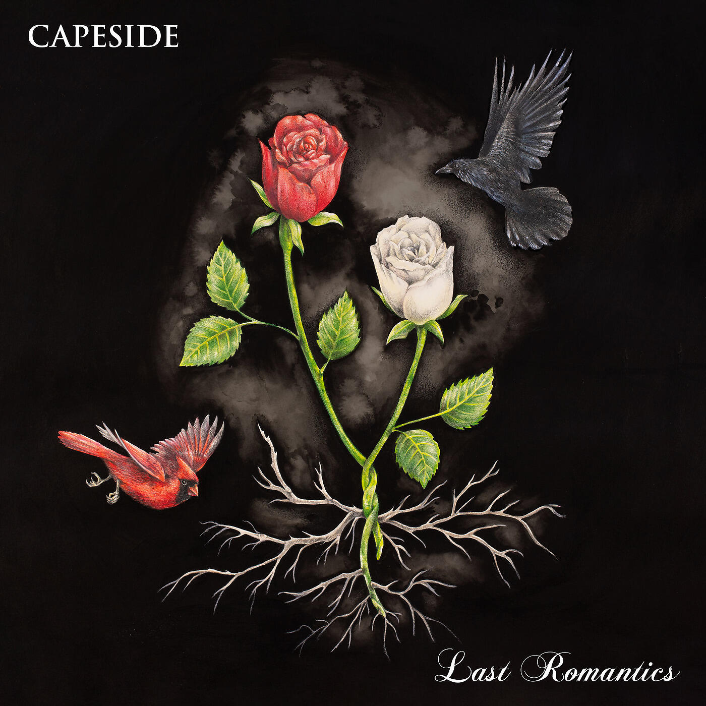 Capeside - I'm Not Waving, I'm Drowning
