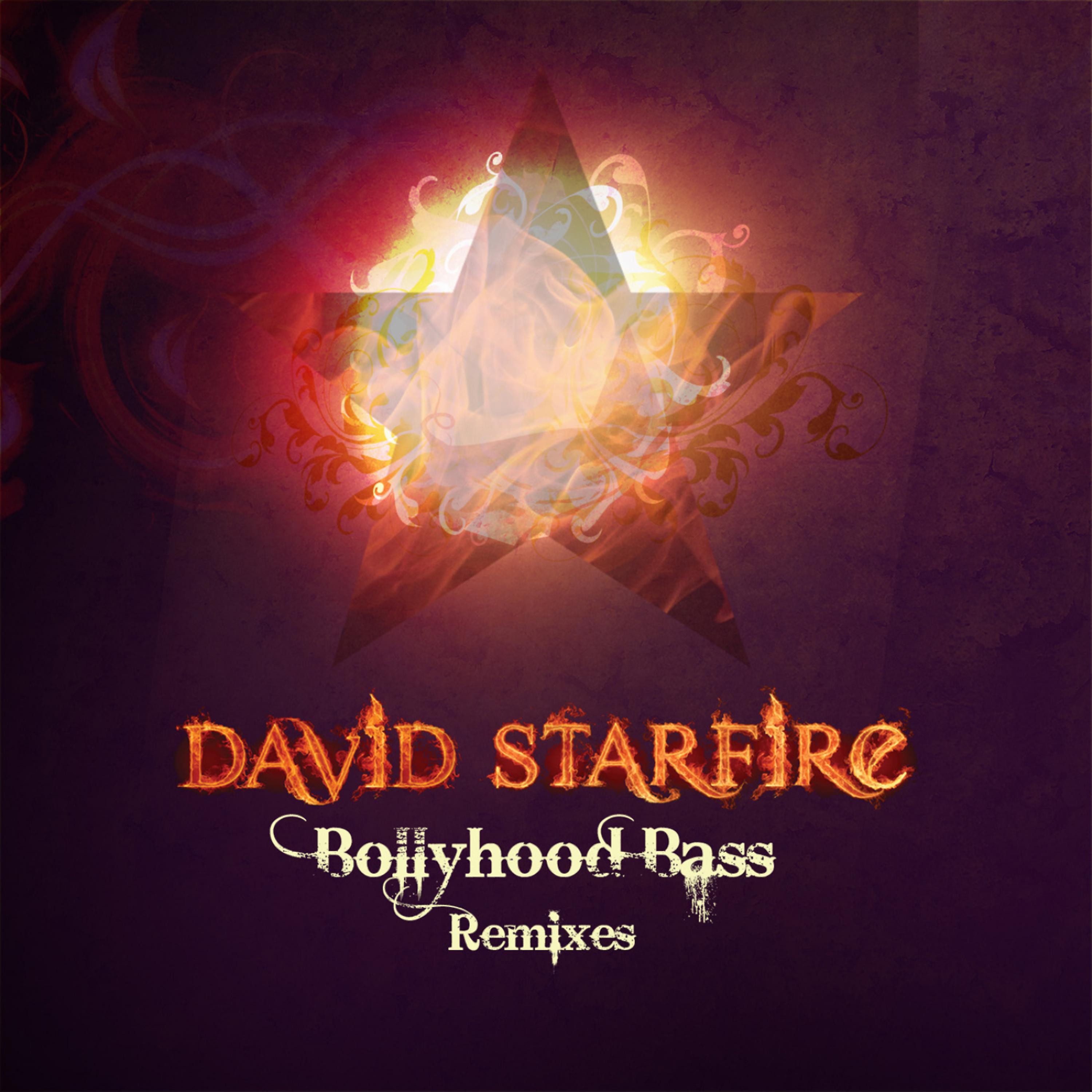 Постер альбома Bollyhood Bass Remixes