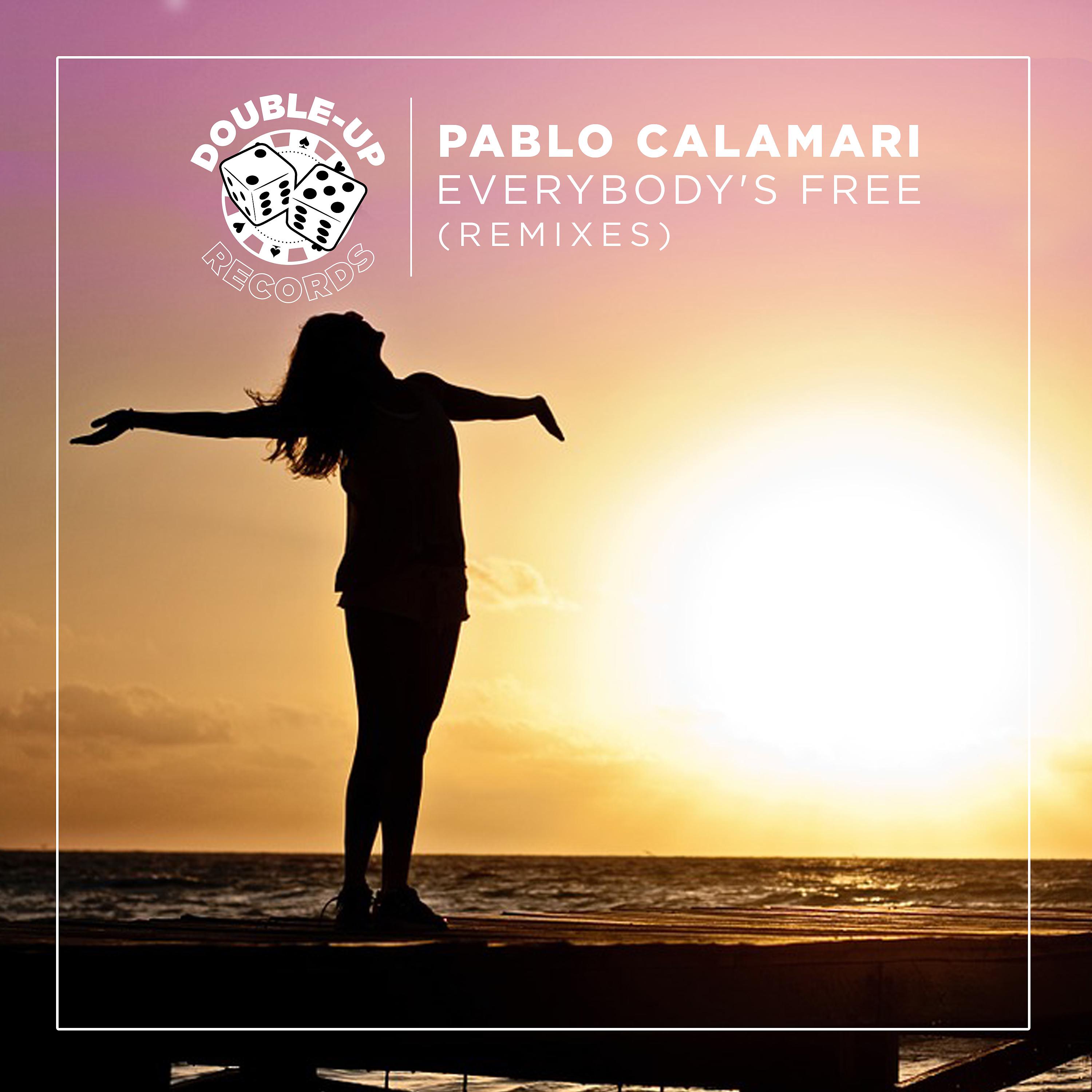 Постер альбома Everybody's Free (Remixes)