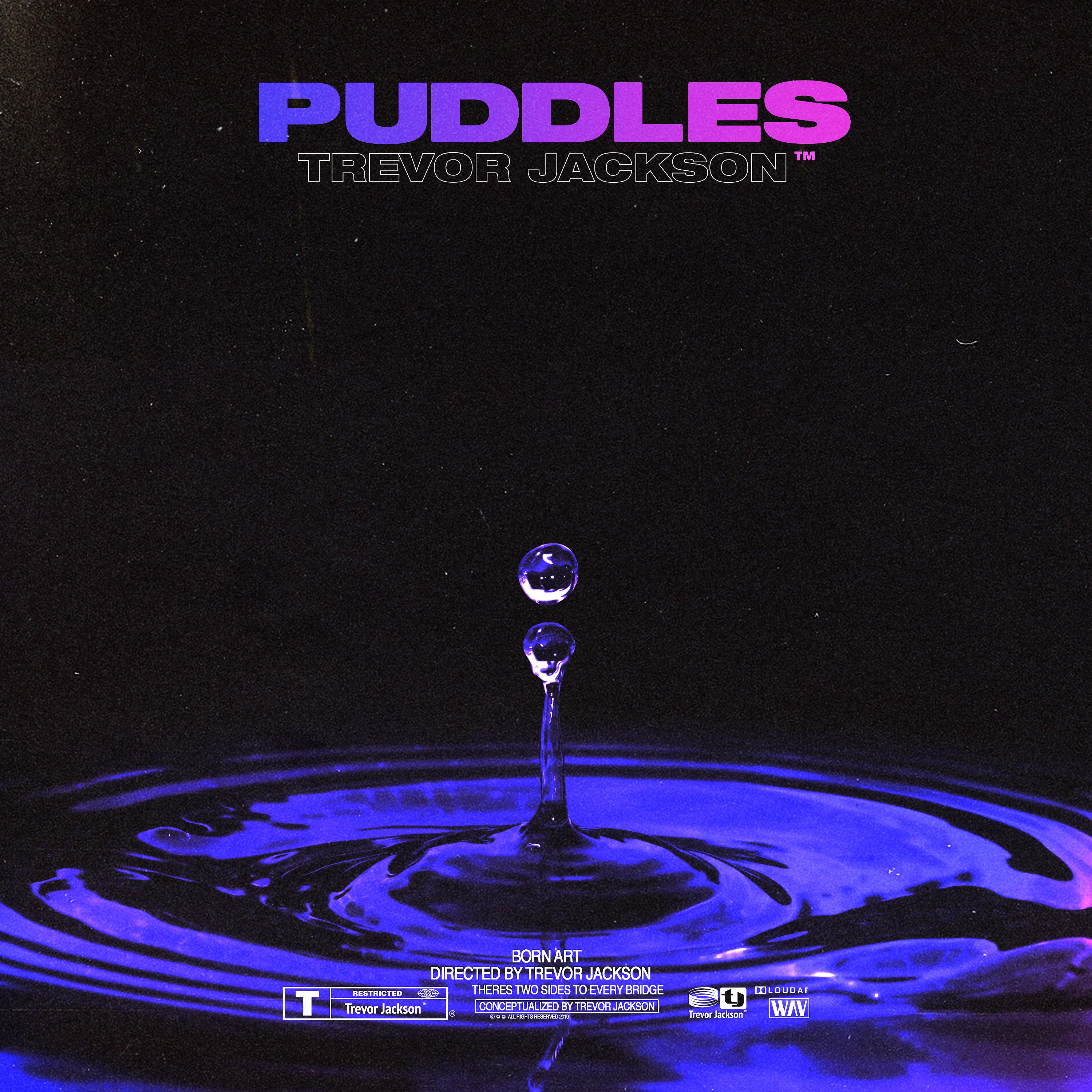 Постер альбома Puddles