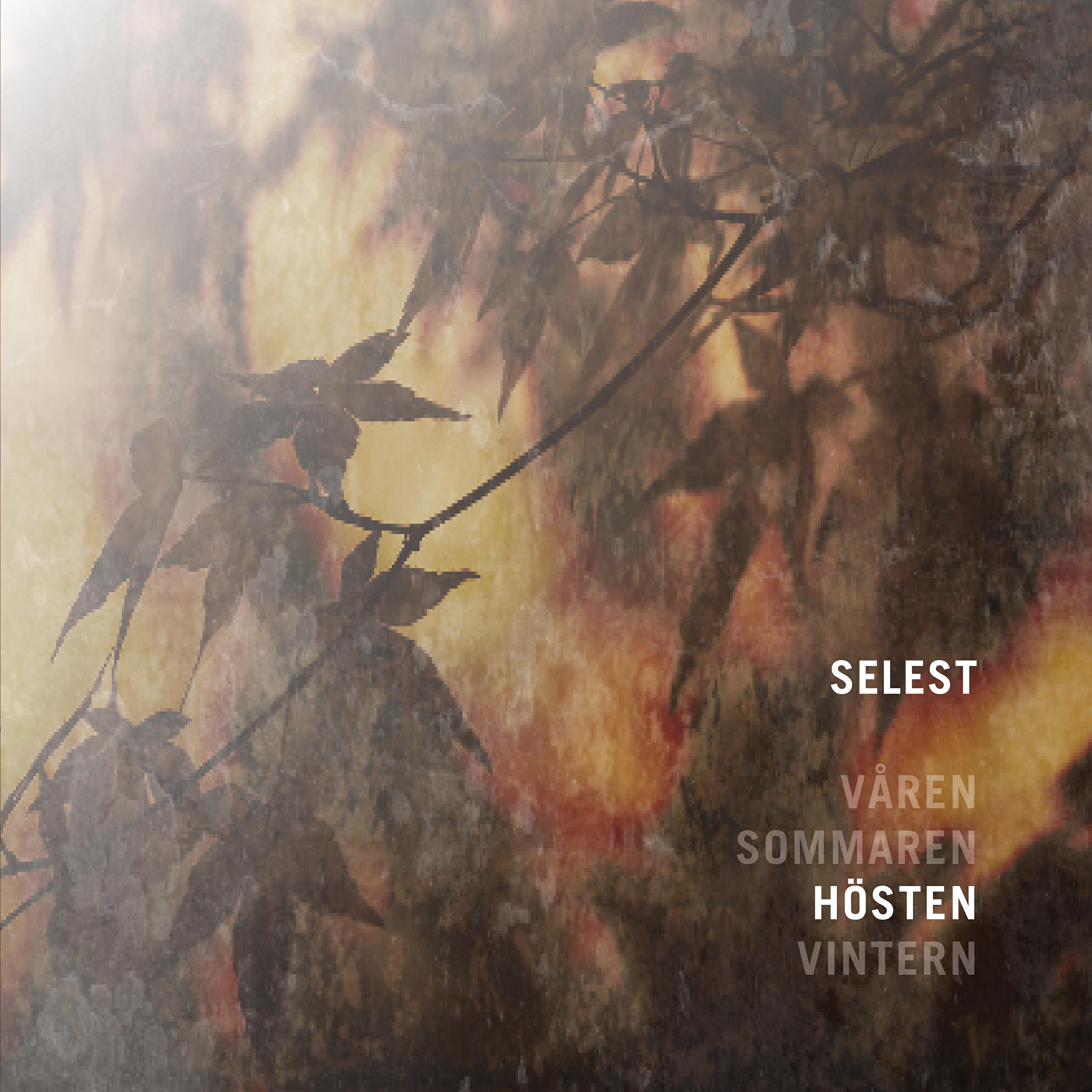 SeLest - En Ovanligt Bra Dag