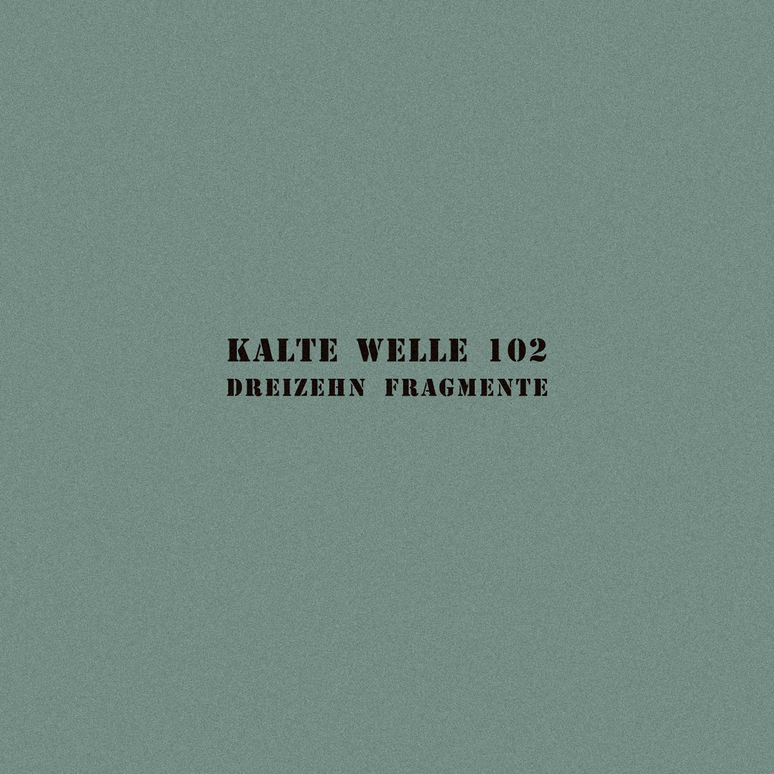 Постер альбома Kalte Welle 102 - Dreizehn Fragmente