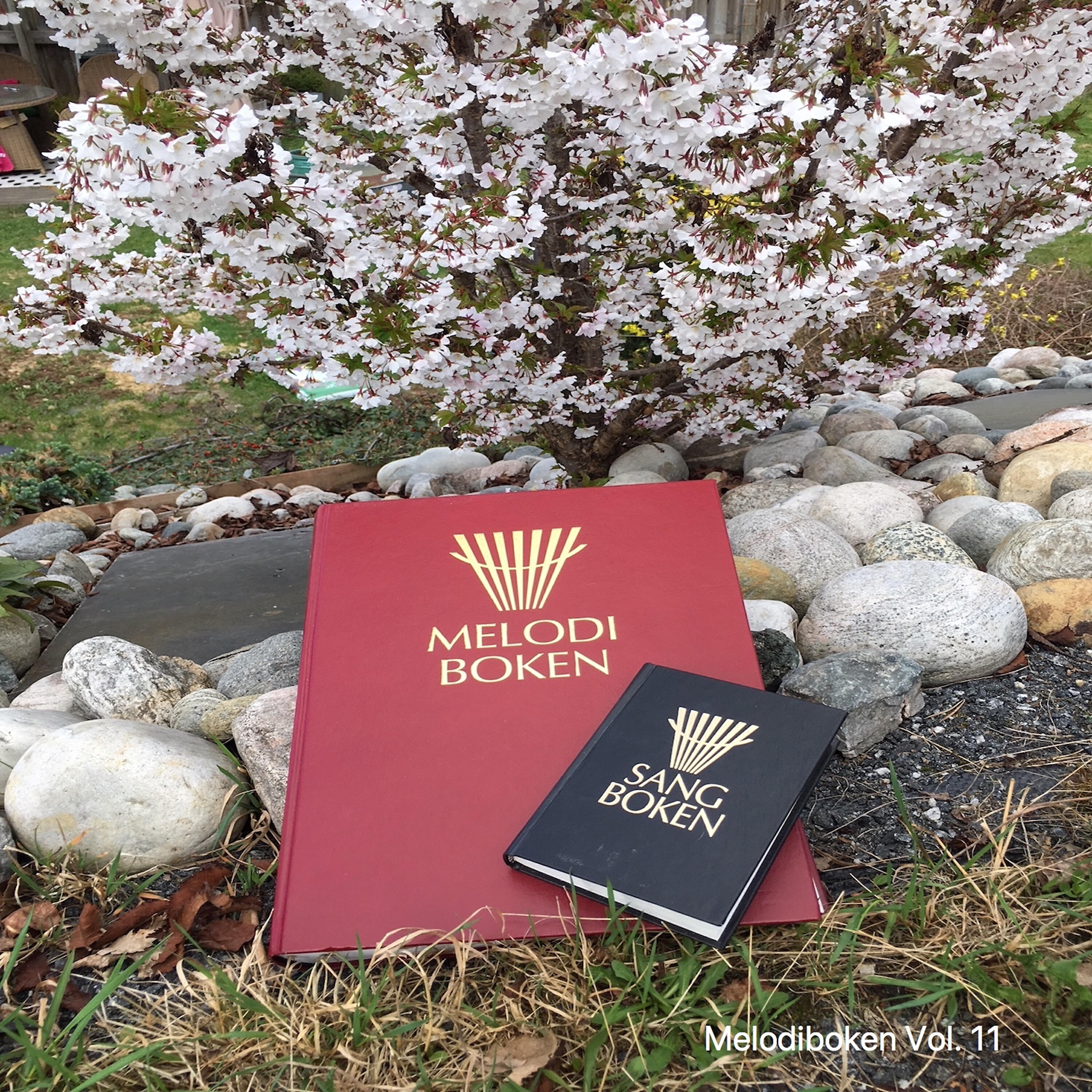 Johan Muren - Det er nok, det som Jesus gjorde