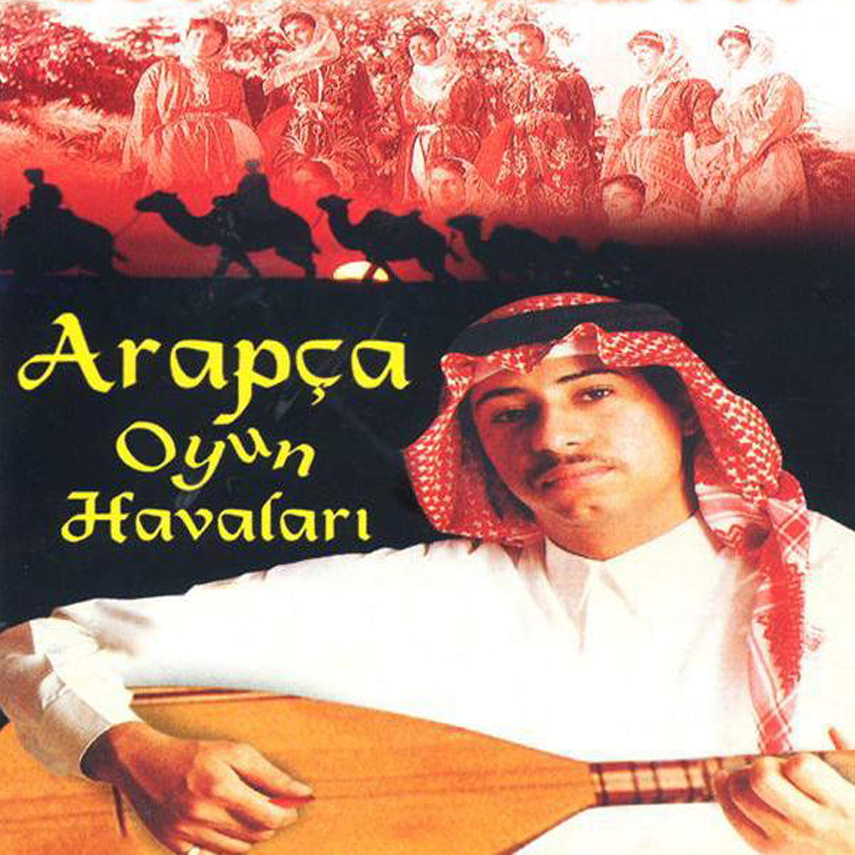 Постер альбома Arapça Oyun Havaları