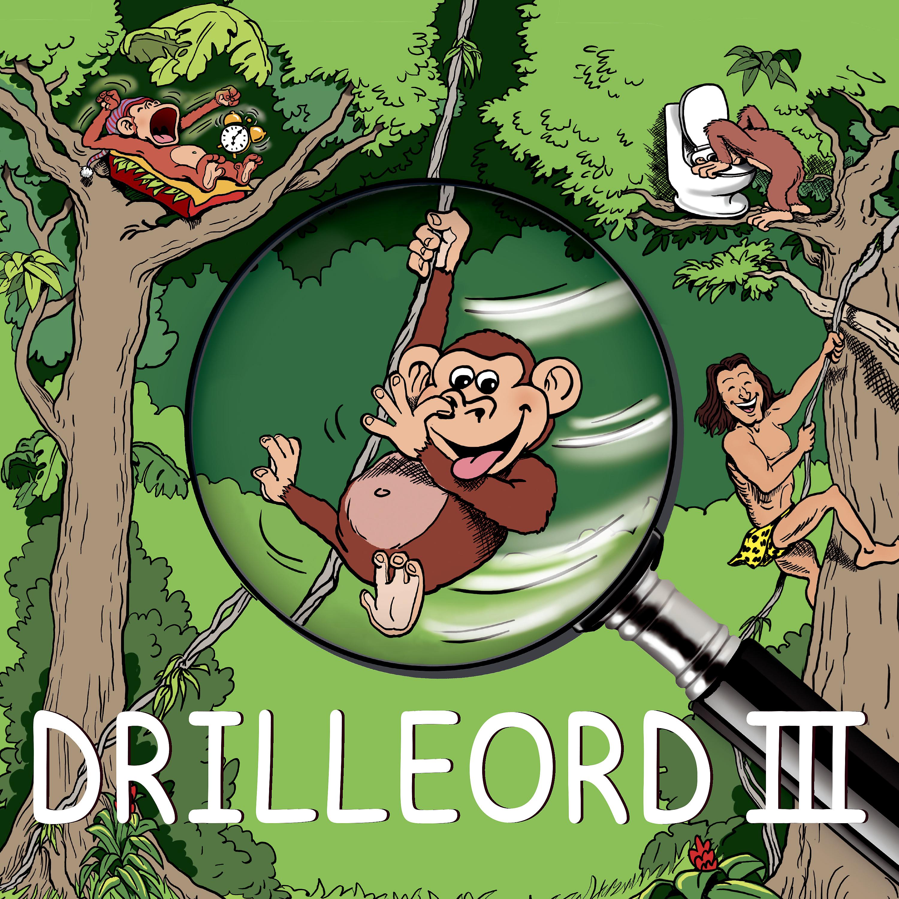 Постер альбома Drilleord III