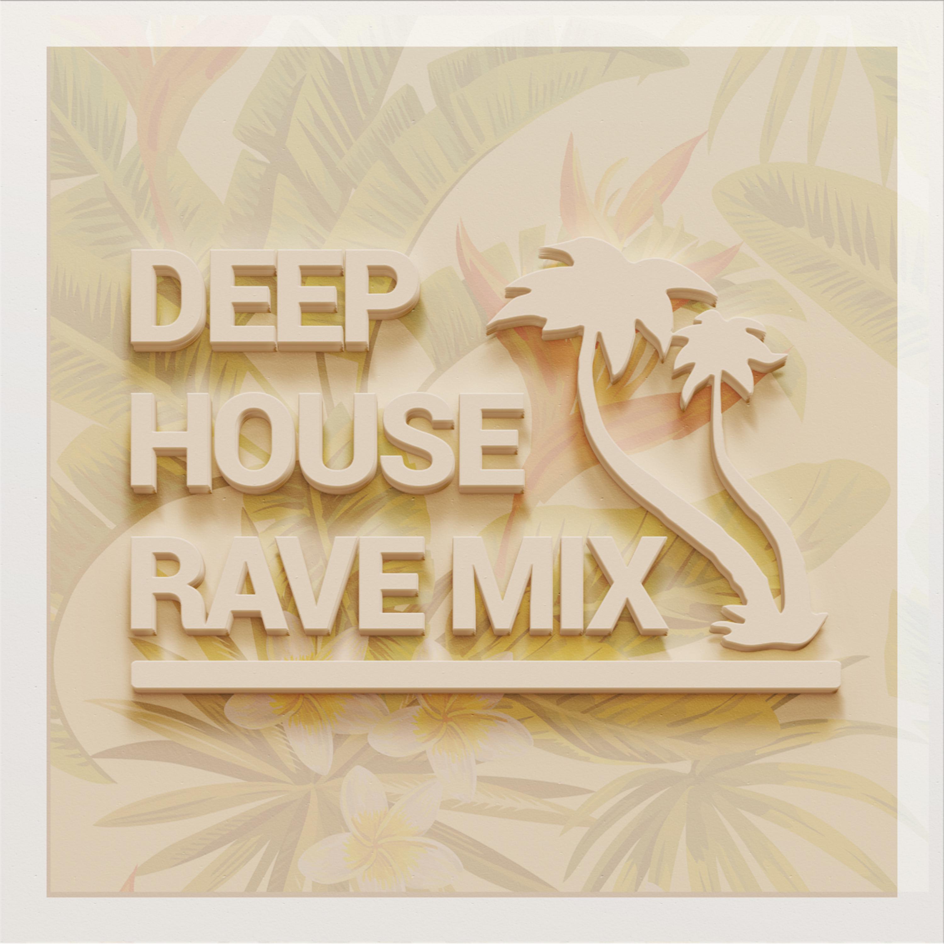 Постер альбома Deep House Rave Mix