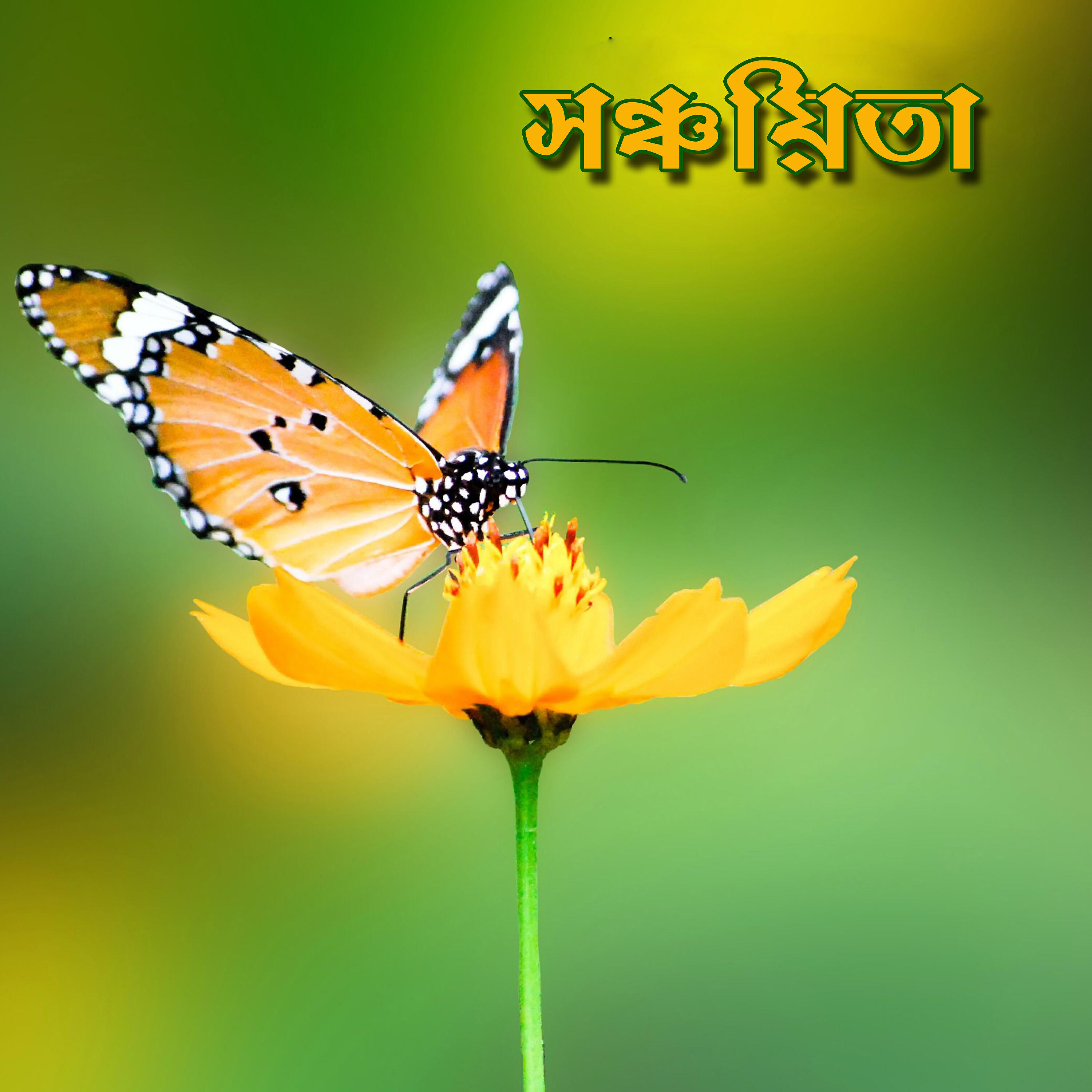 Jagannath Basu - Proshno Uttor