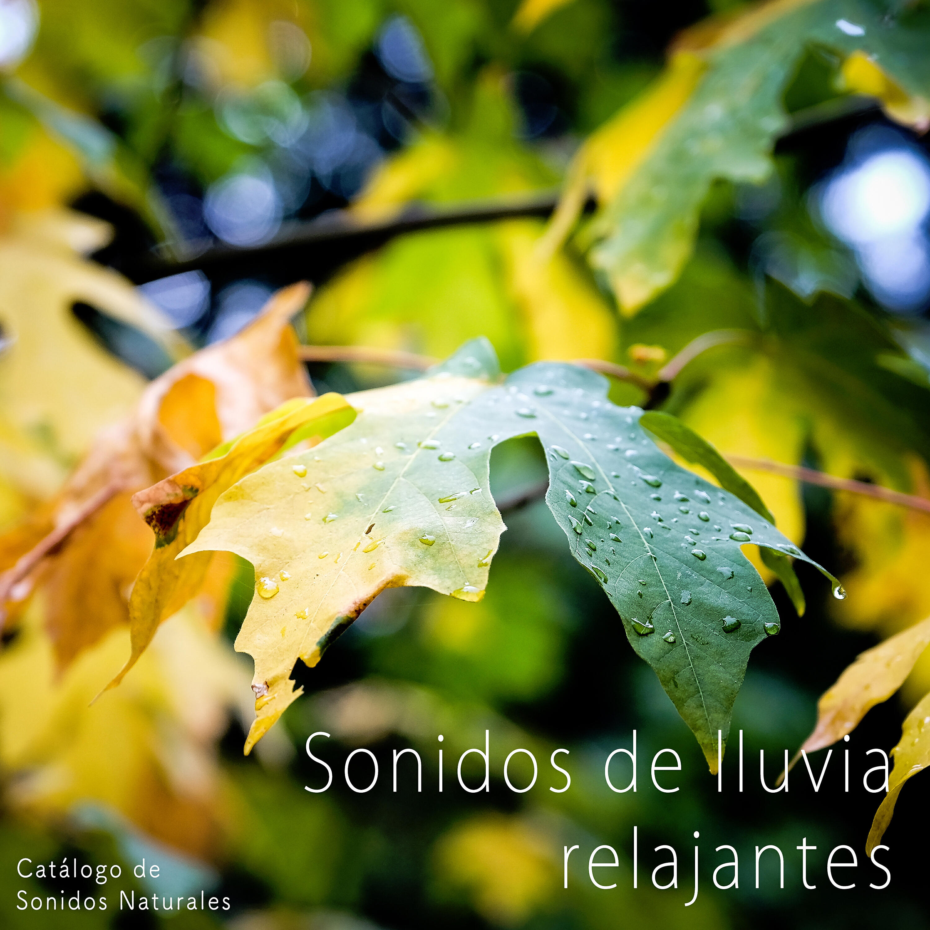 Catálogo de Sonidos Naturales - Rain on Tent