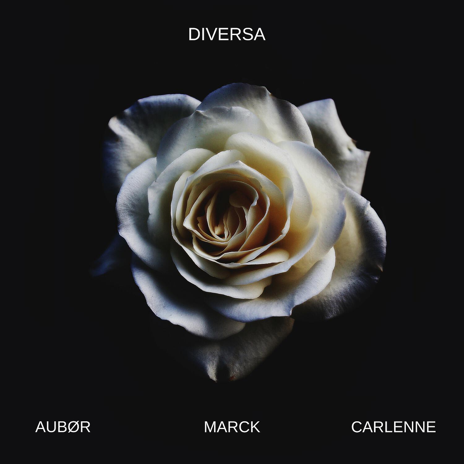 Aubør - Diversa