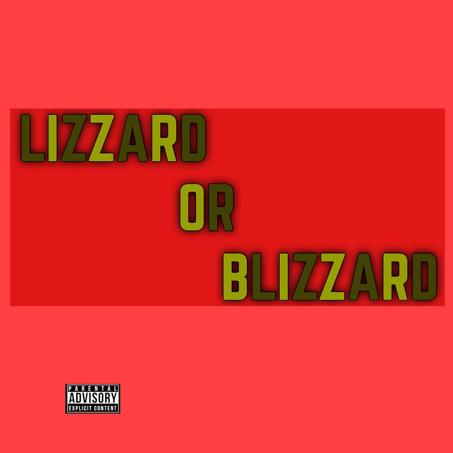 Постер альбома Lizzard or Blizzard