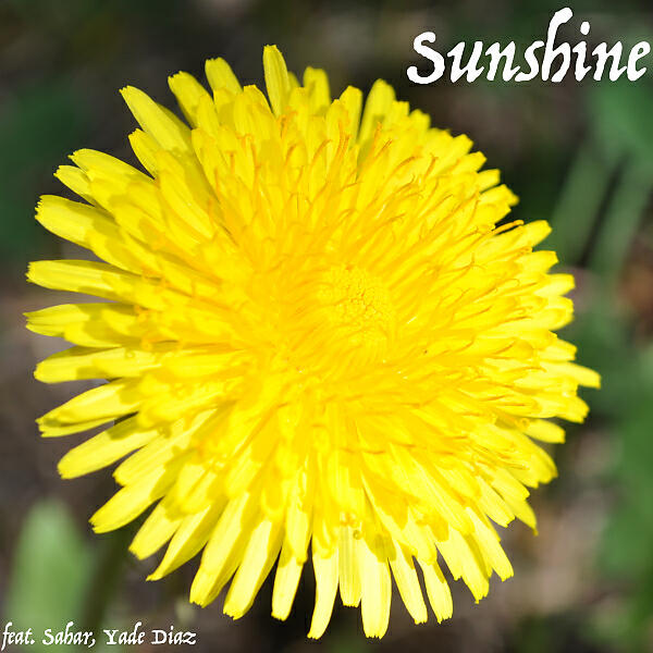 Pseudo Ra - Sunshine (feat. Sahar & Yade Diaz)