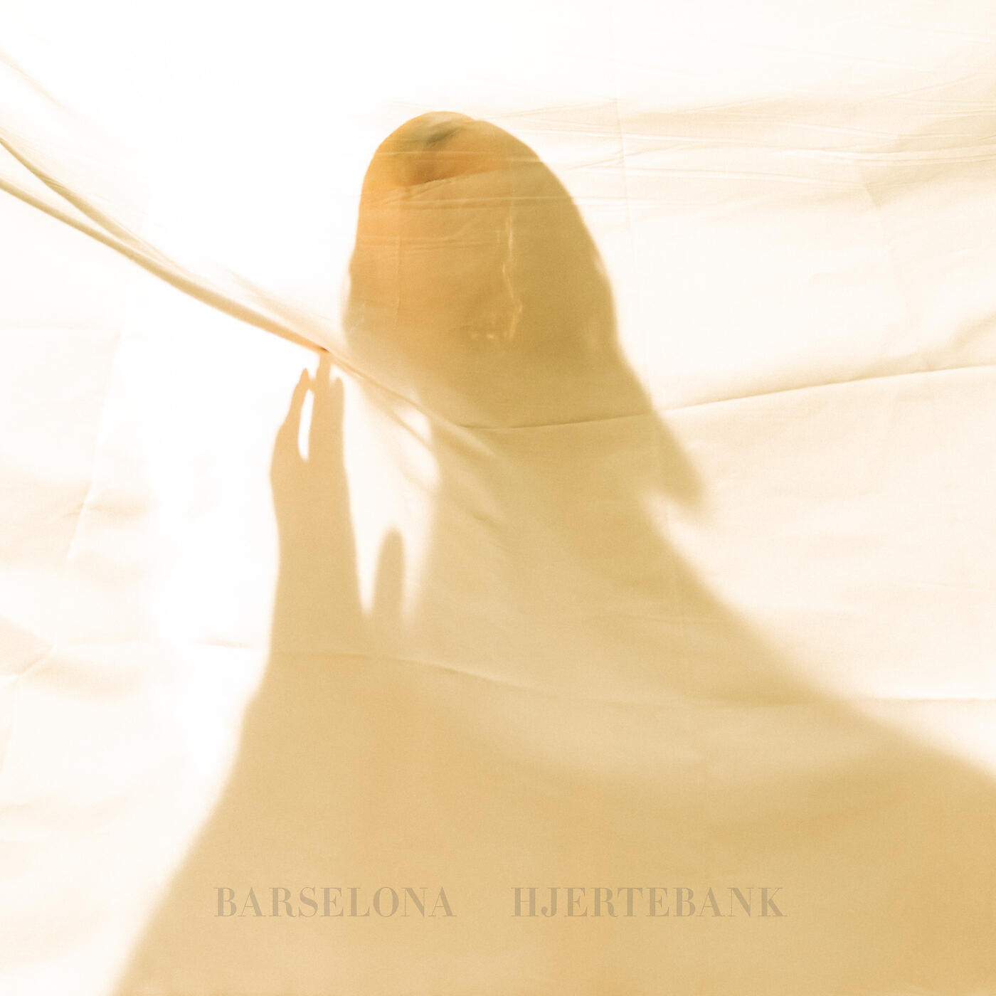 Barselona - Du Vil Forstå