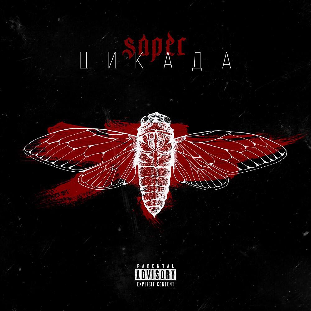 SAPER - Туман