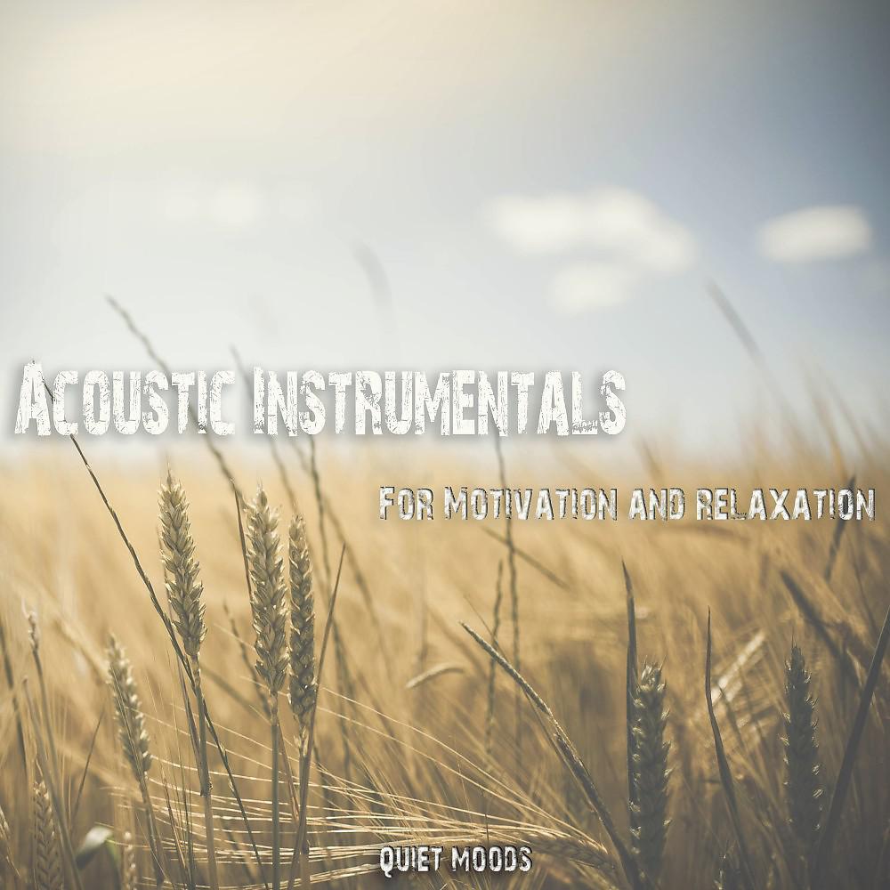 Постер альбома Acoustic Instrumentals (For Motivation and Relaxation)