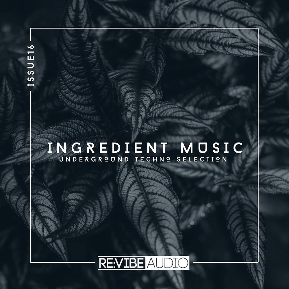 Romain Pellegrin - Acouphene (Original Mix)