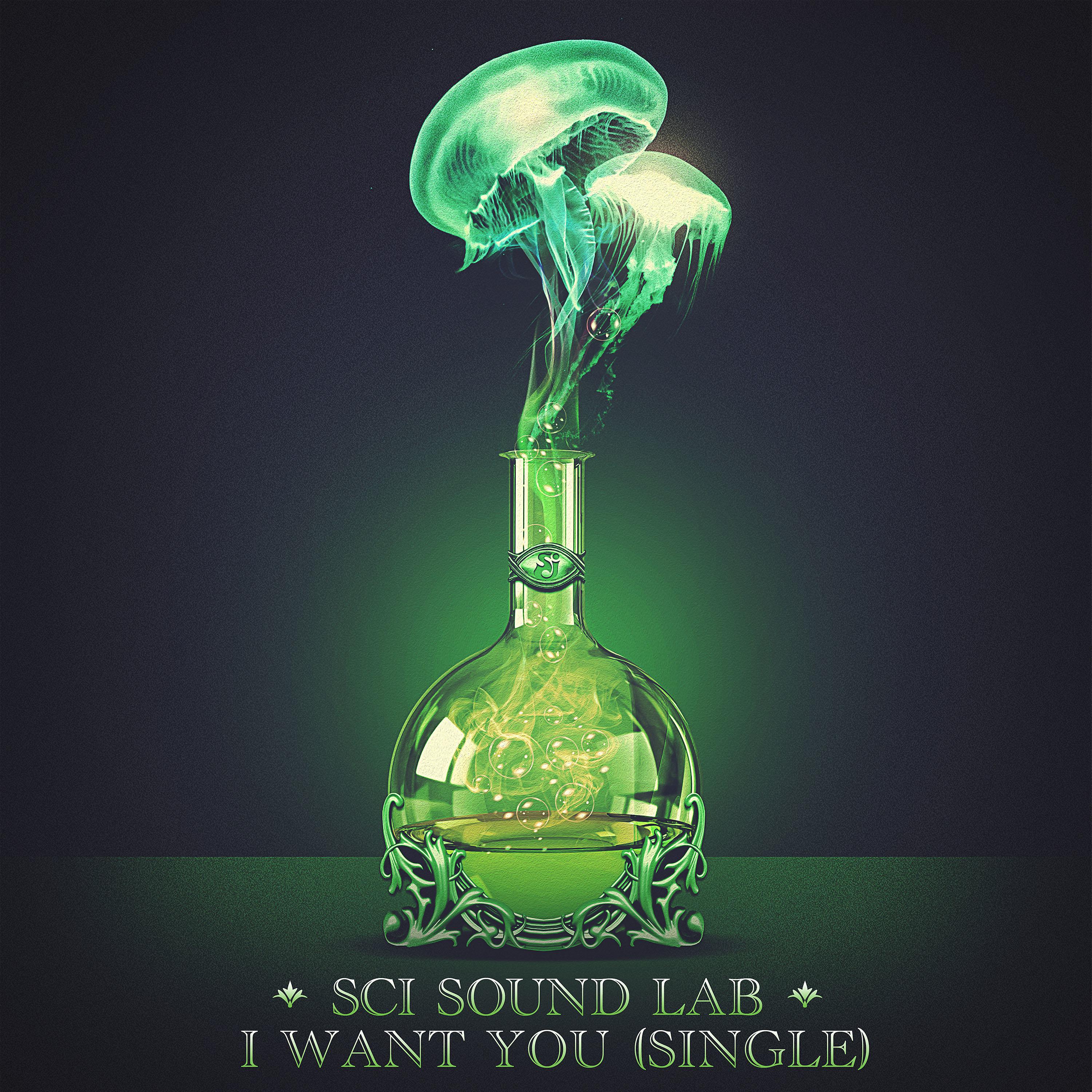 Постер альбома SCI Sound Lab: I Want You - Single
