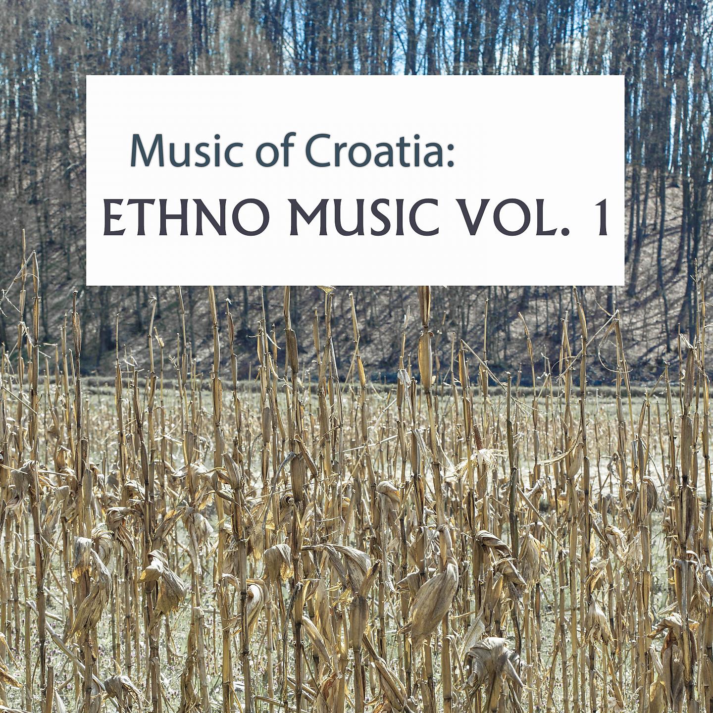 Постер альбома Music Of Croatia / Ethno Music, Vol. 1
