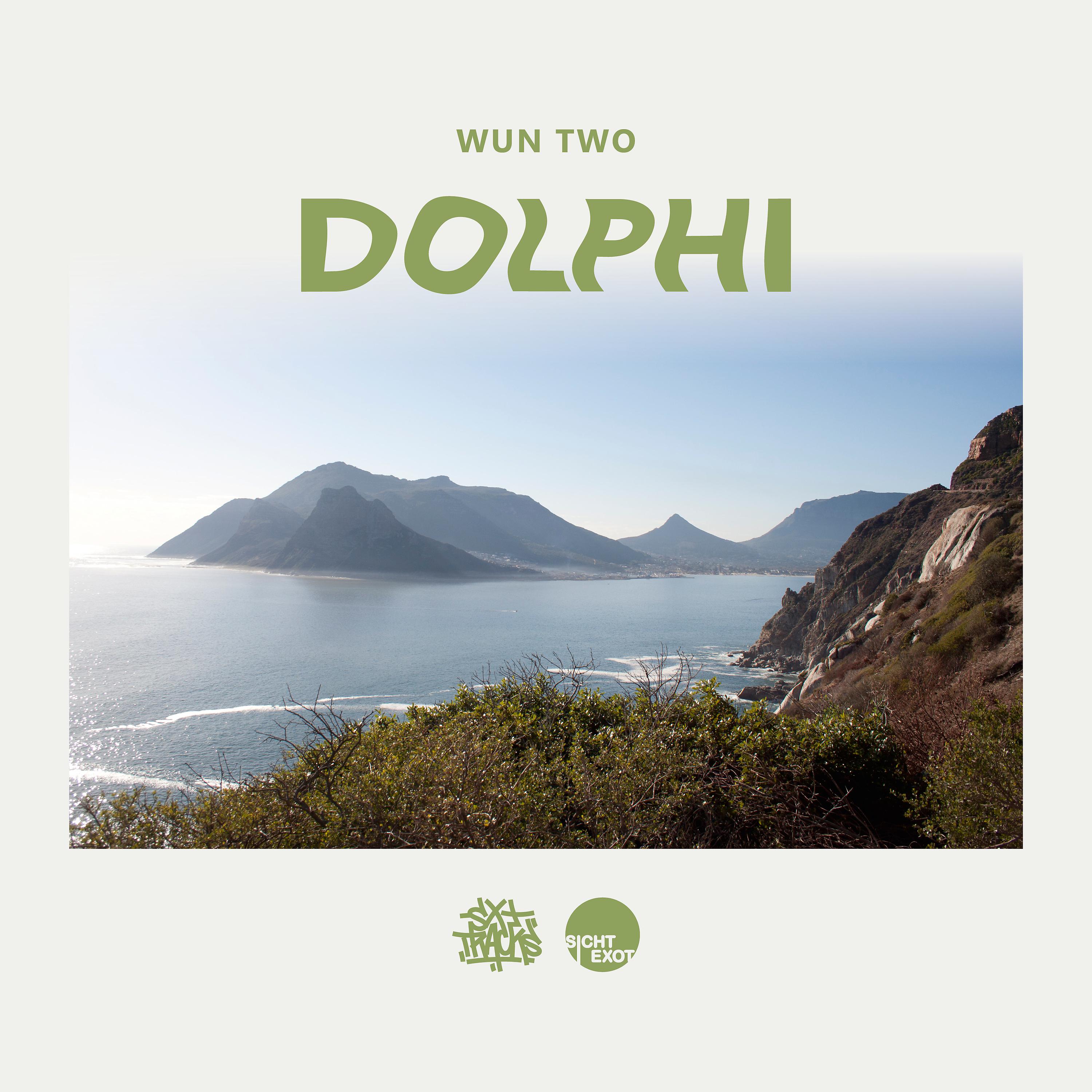 Постер альбома Dolphi