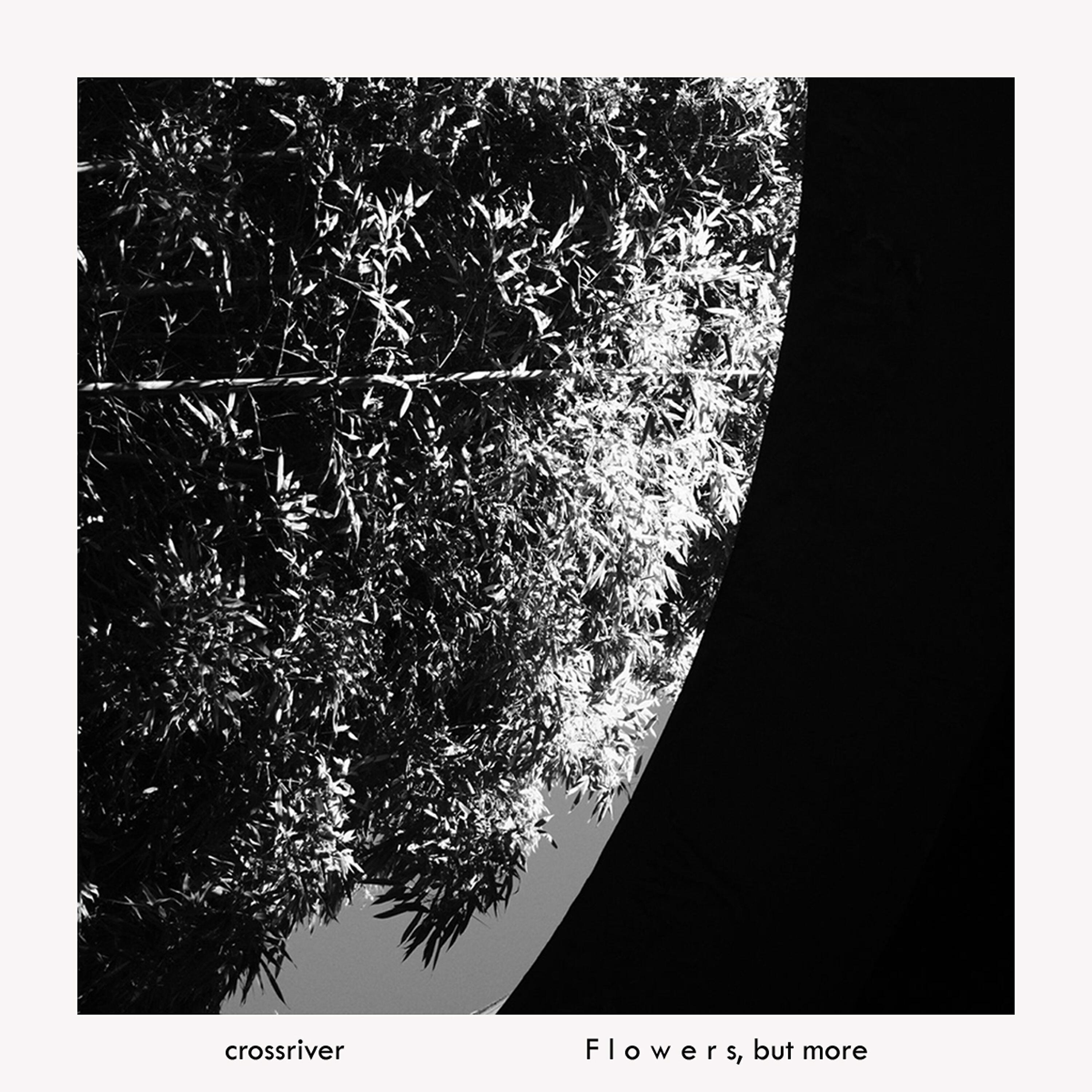 crossriver - Flowers, But More