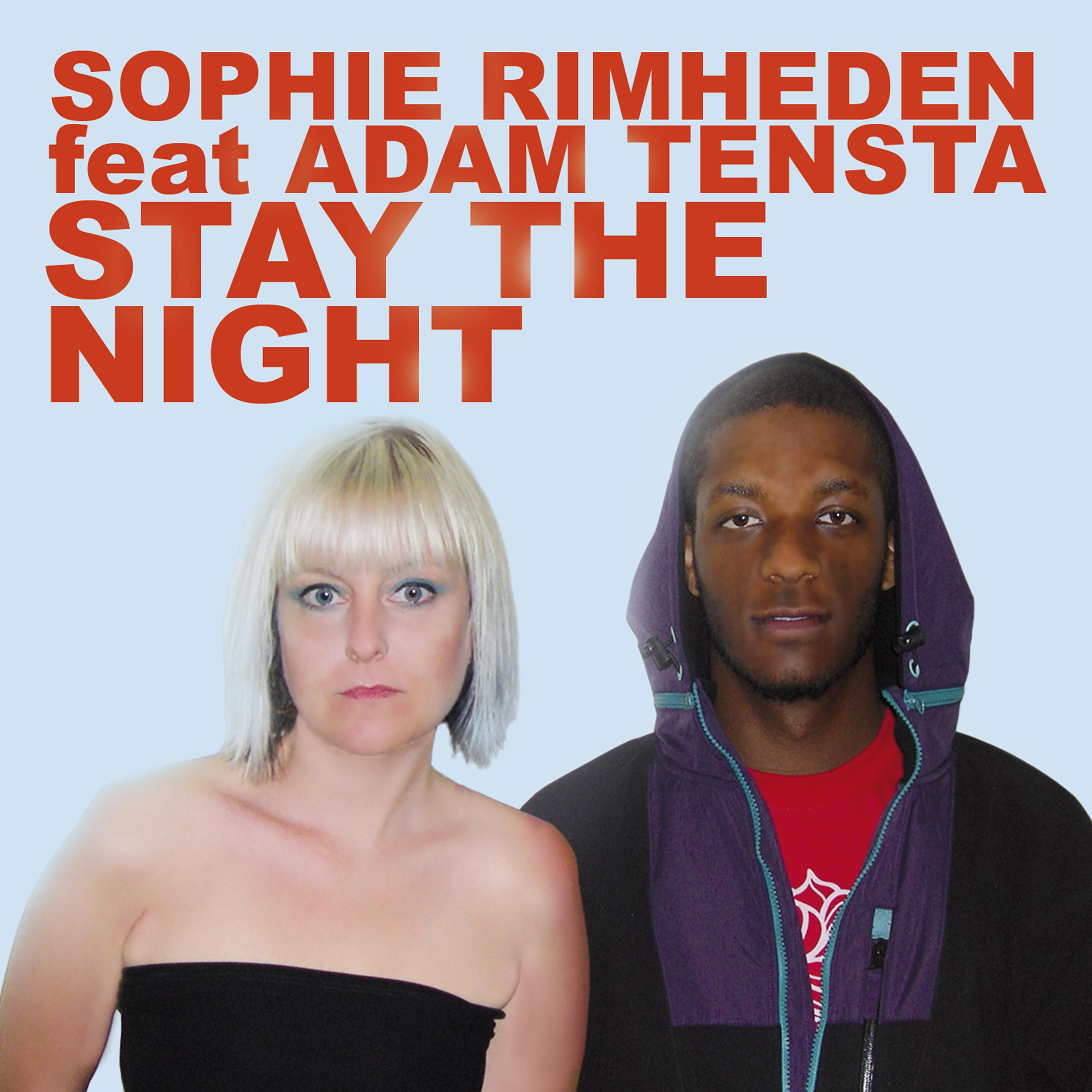 Постер альбома Stay the Night Remixes