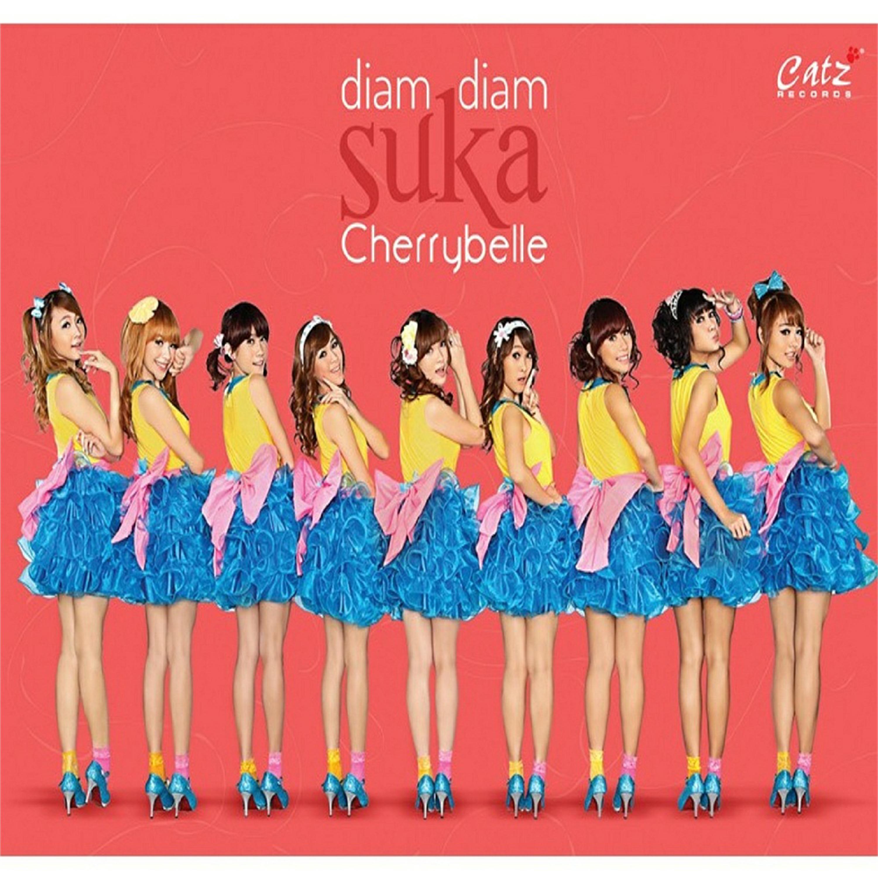 Постер альбома Diam Diam Suka