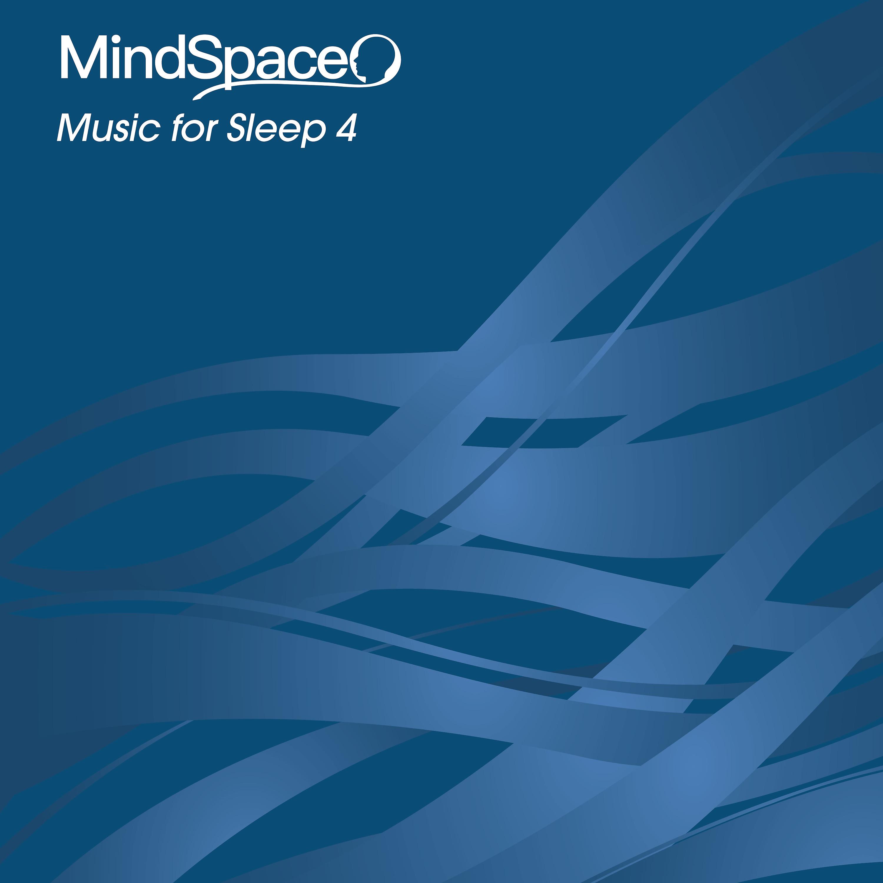 Постер альбома Music for Sleep 4