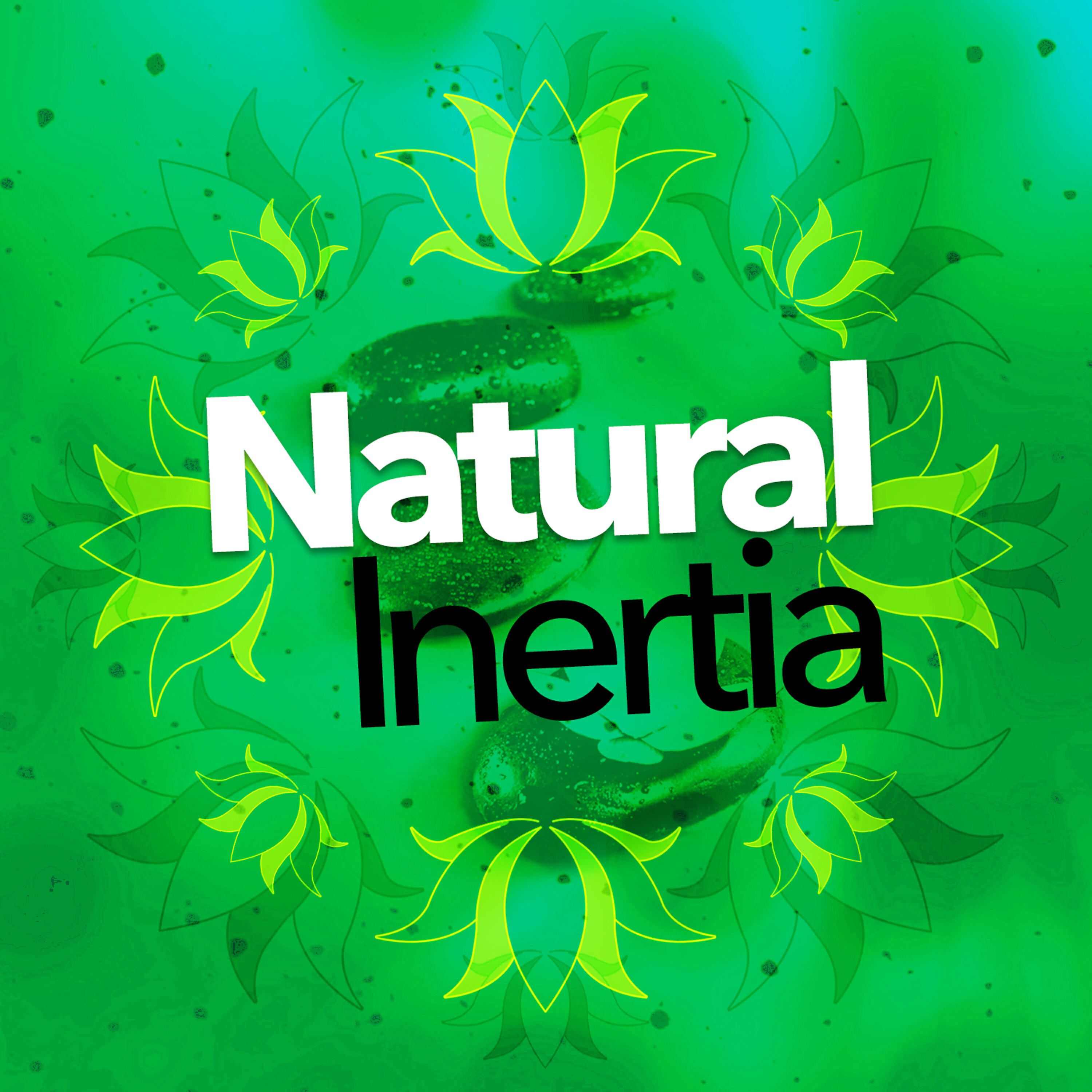 Mediation Sounds of Nature - Rural Birds