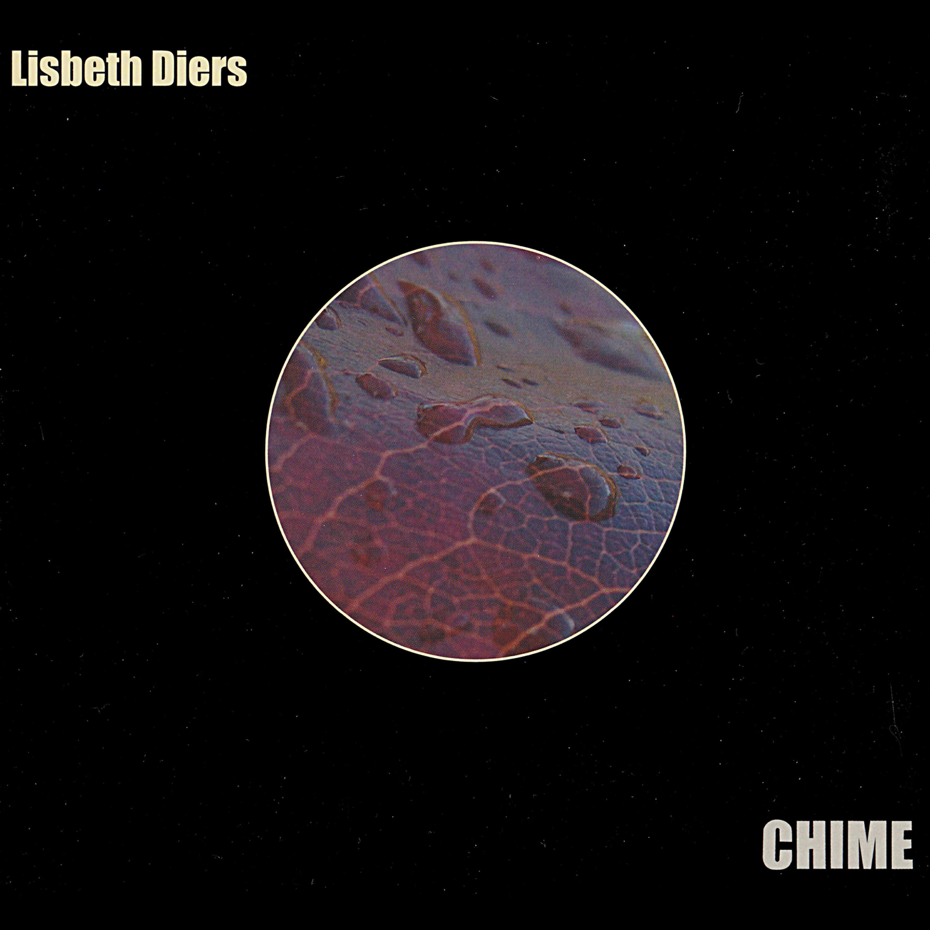 Lisbeth Diers - Sommerens Slør