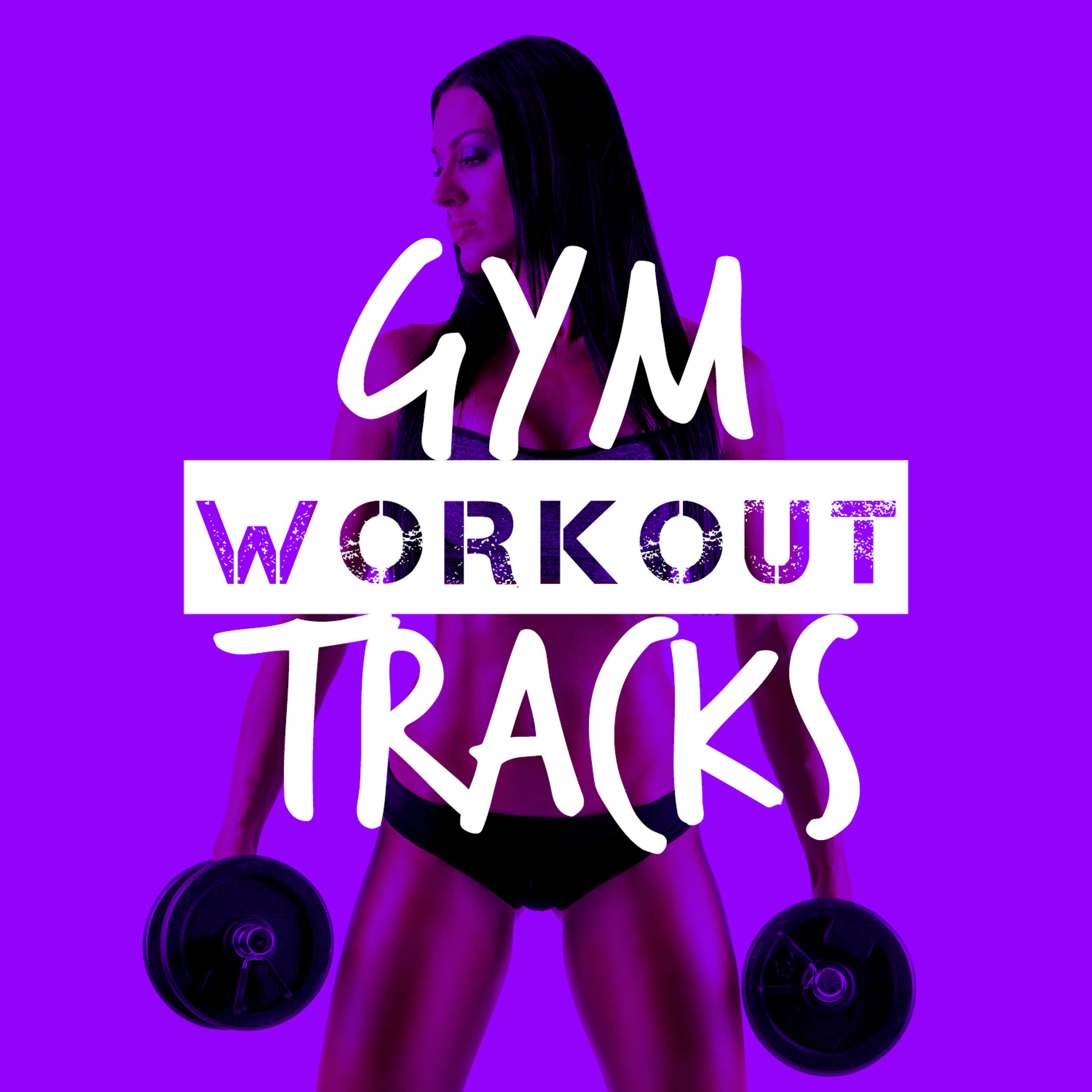 Постер альбома Gym Workout Tracks