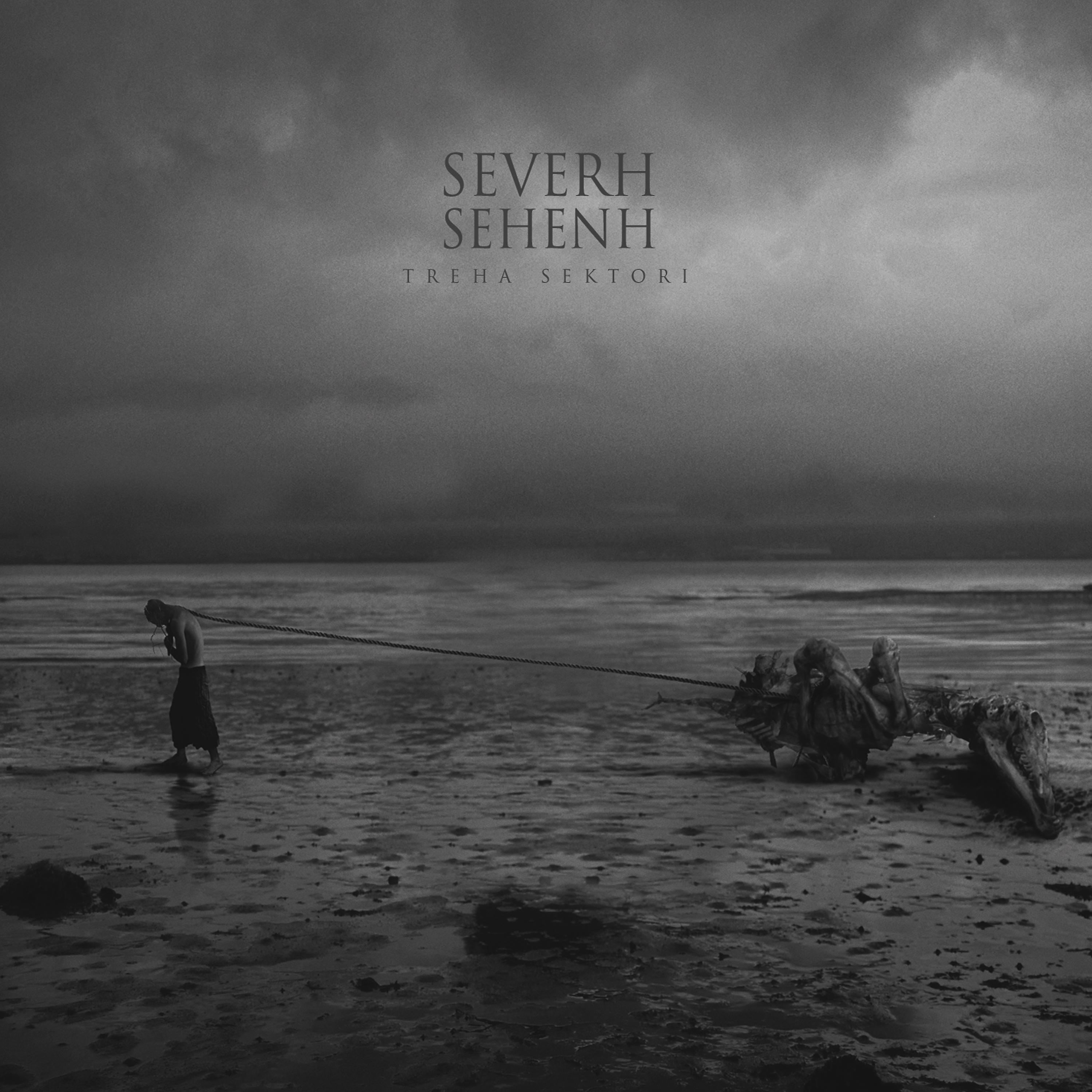 Постер альбома Severh Sehenh