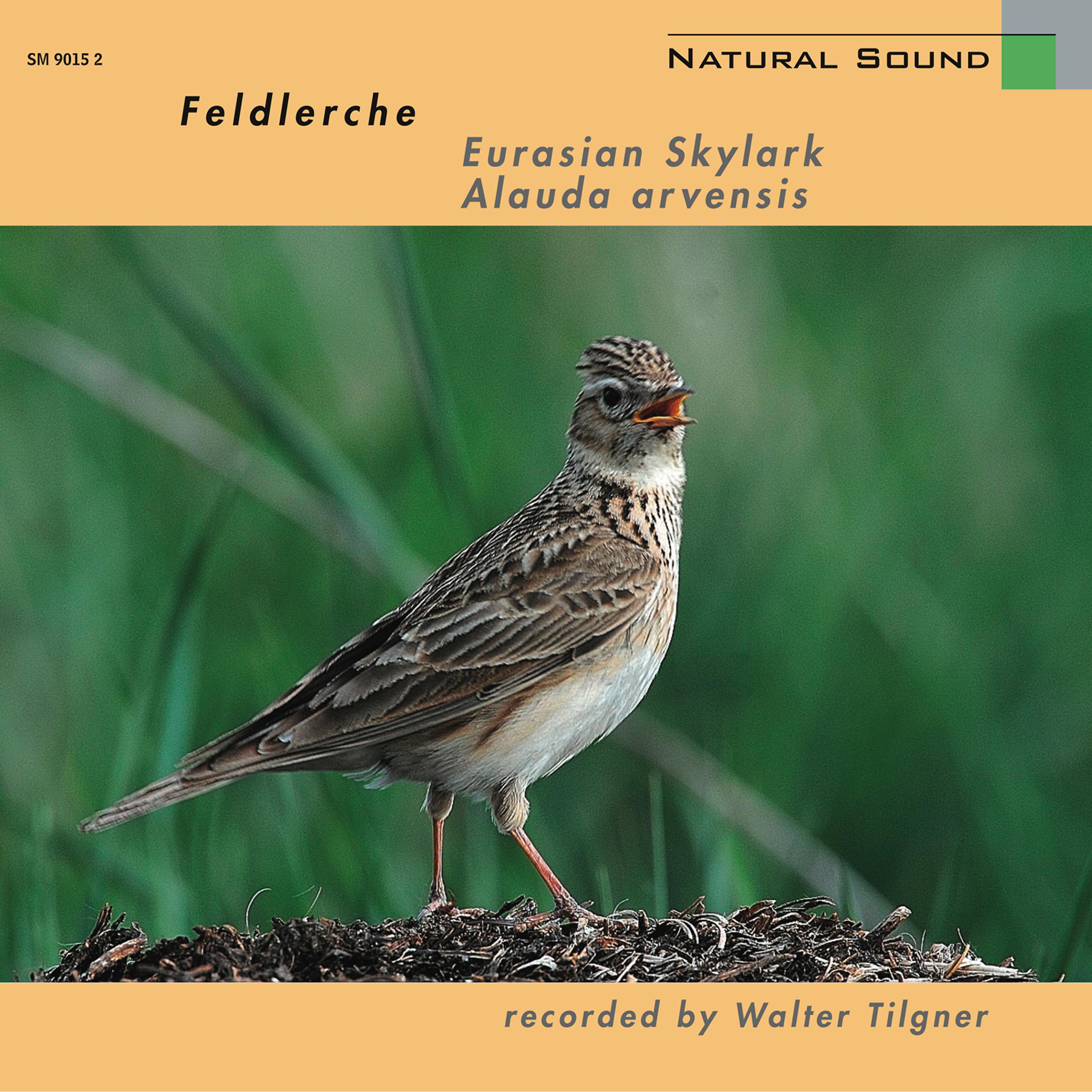 Постер альбома Natural Sound: Feldlerche