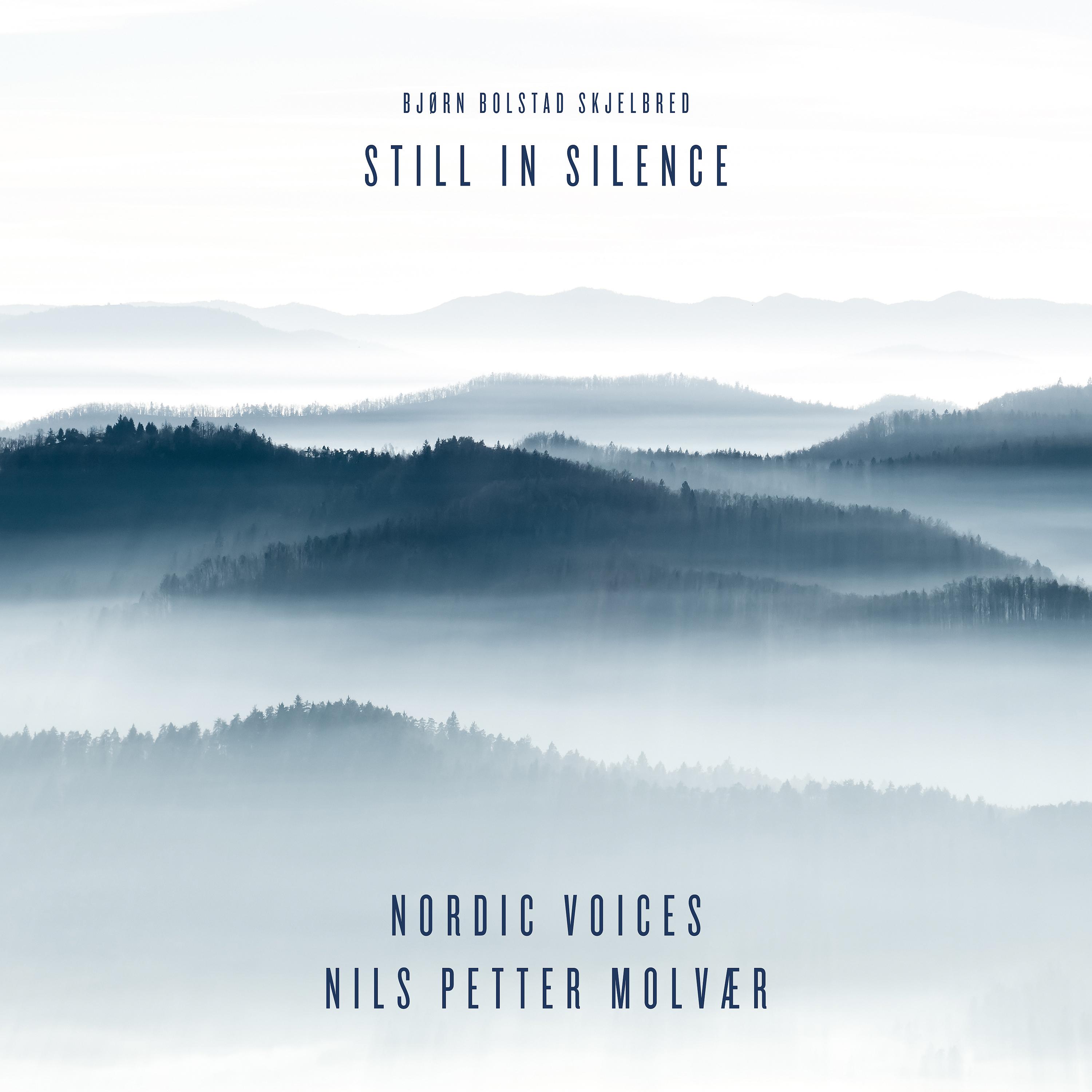 Постер альбома Still in Silence - Featuring Nils Petter Molvær
