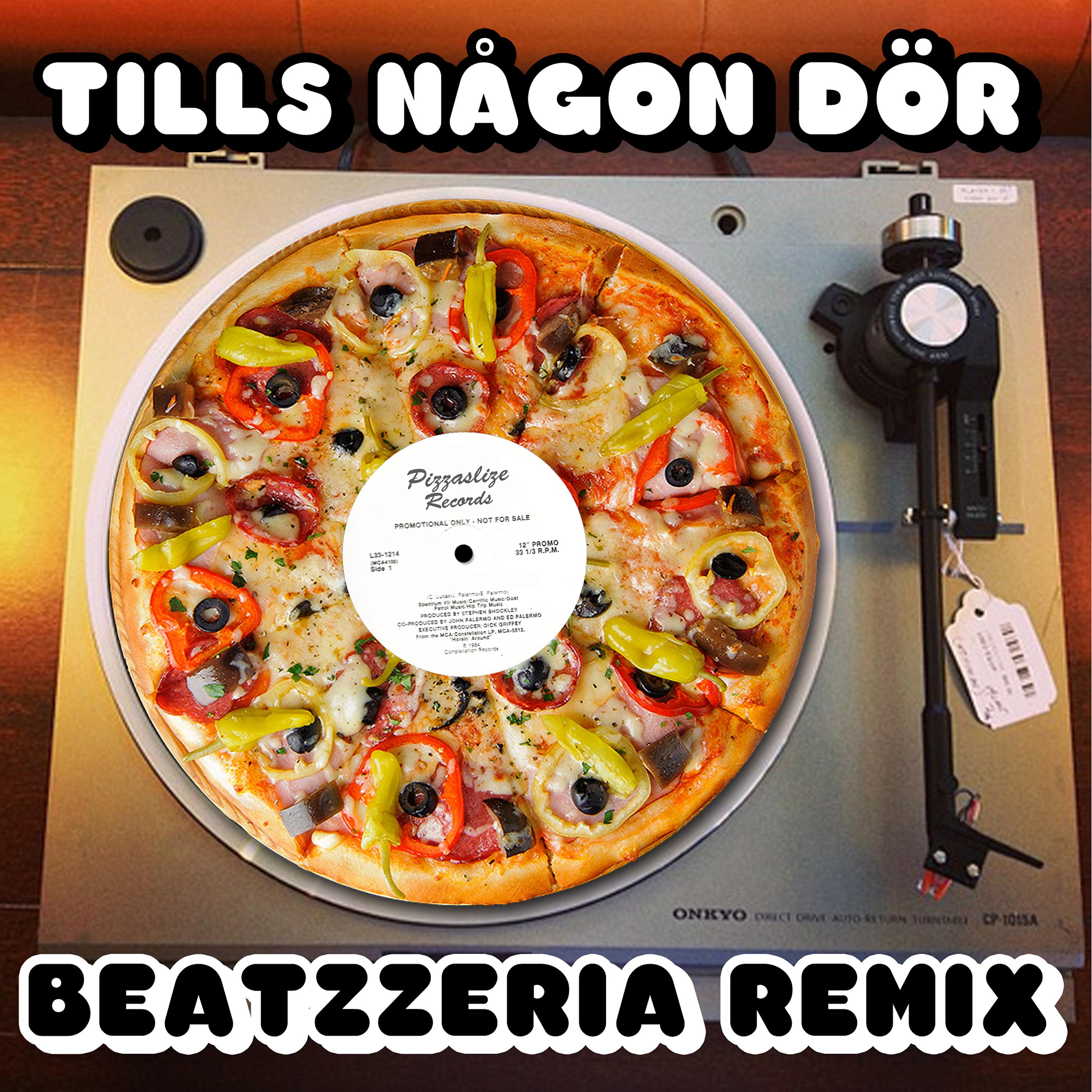 Постер альбома Tills Någon Dör (Beatzzeria Remix)
