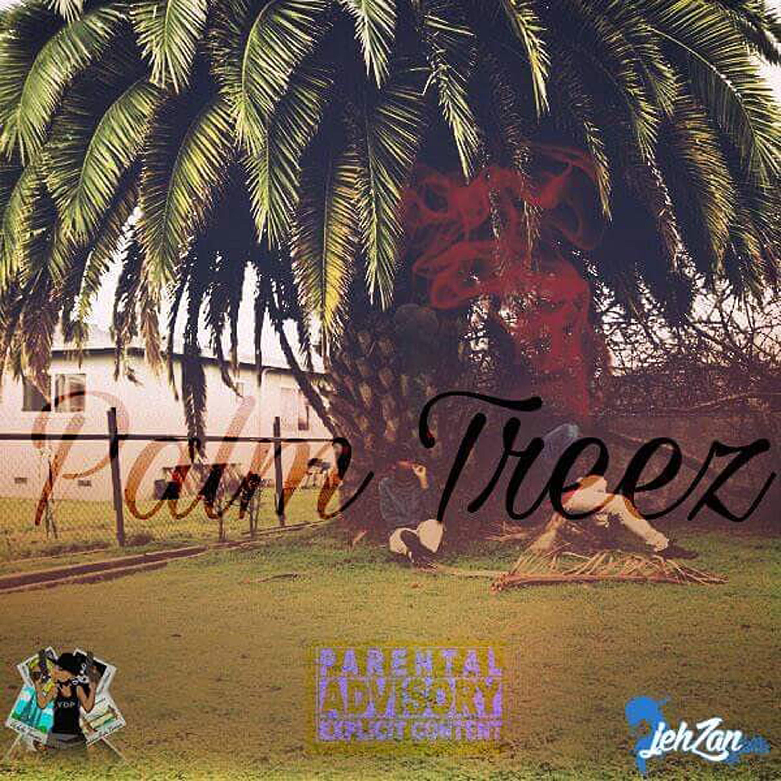 Young Dedicated Proper - Jammin
