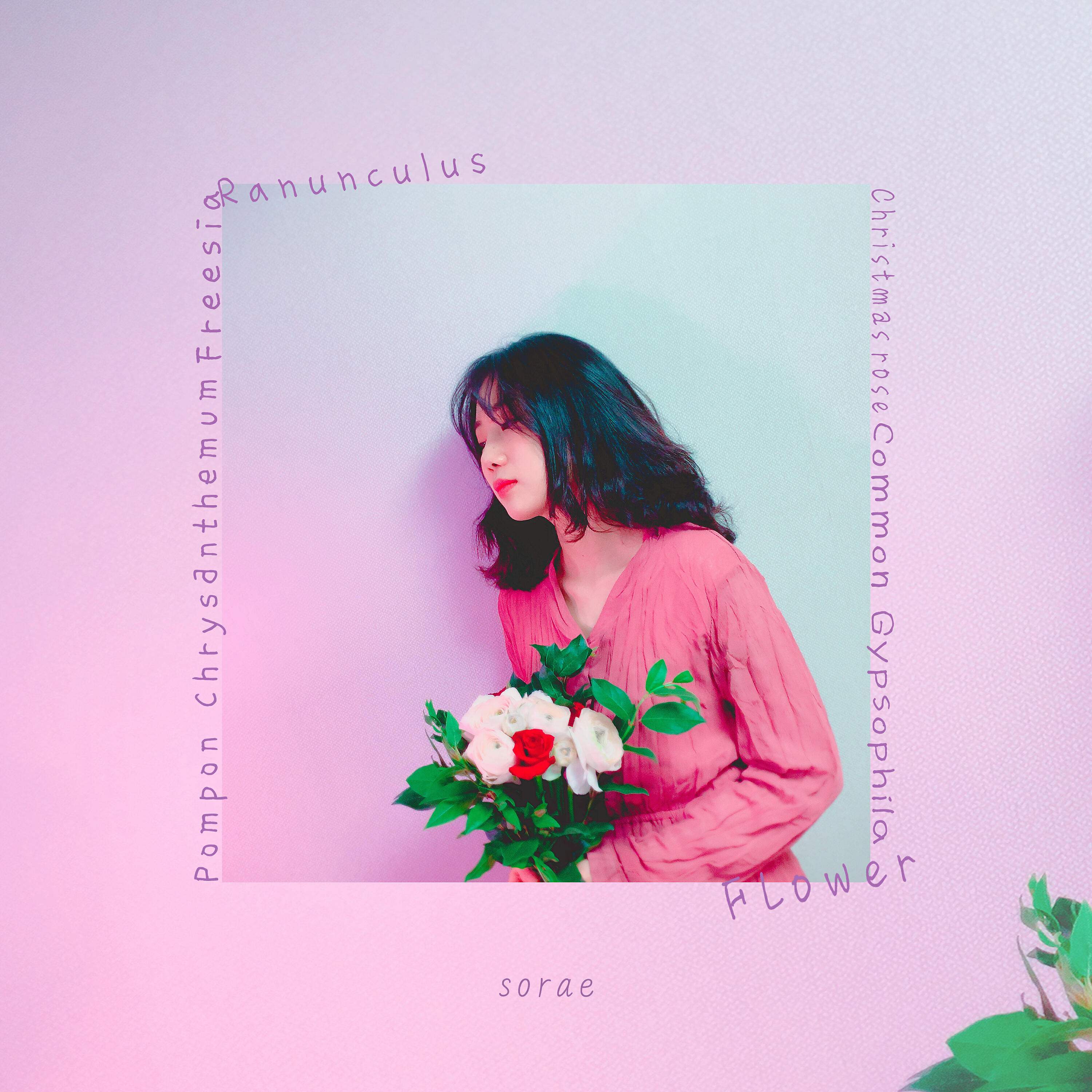 SORAE - Flower (Instrumental)