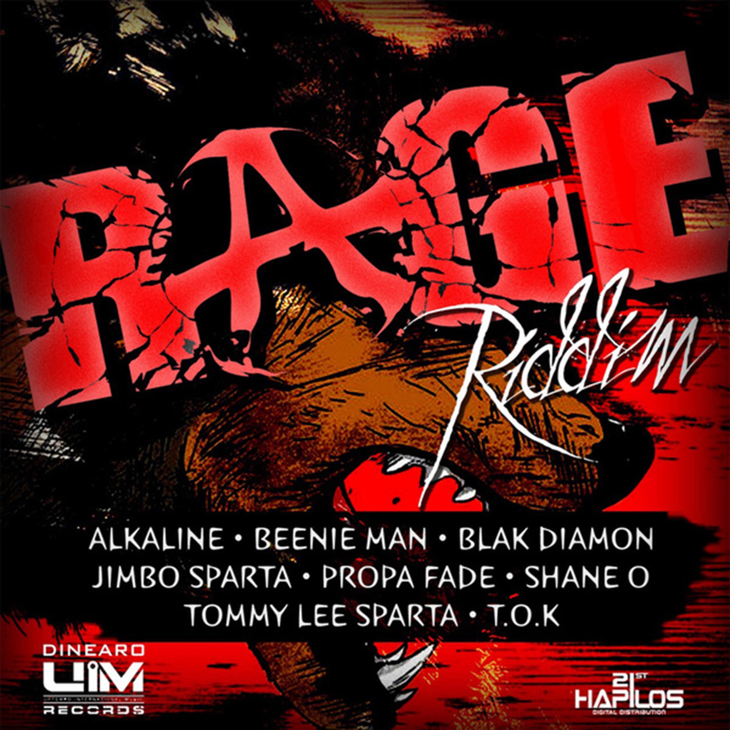Постер альбома Rage Riddim