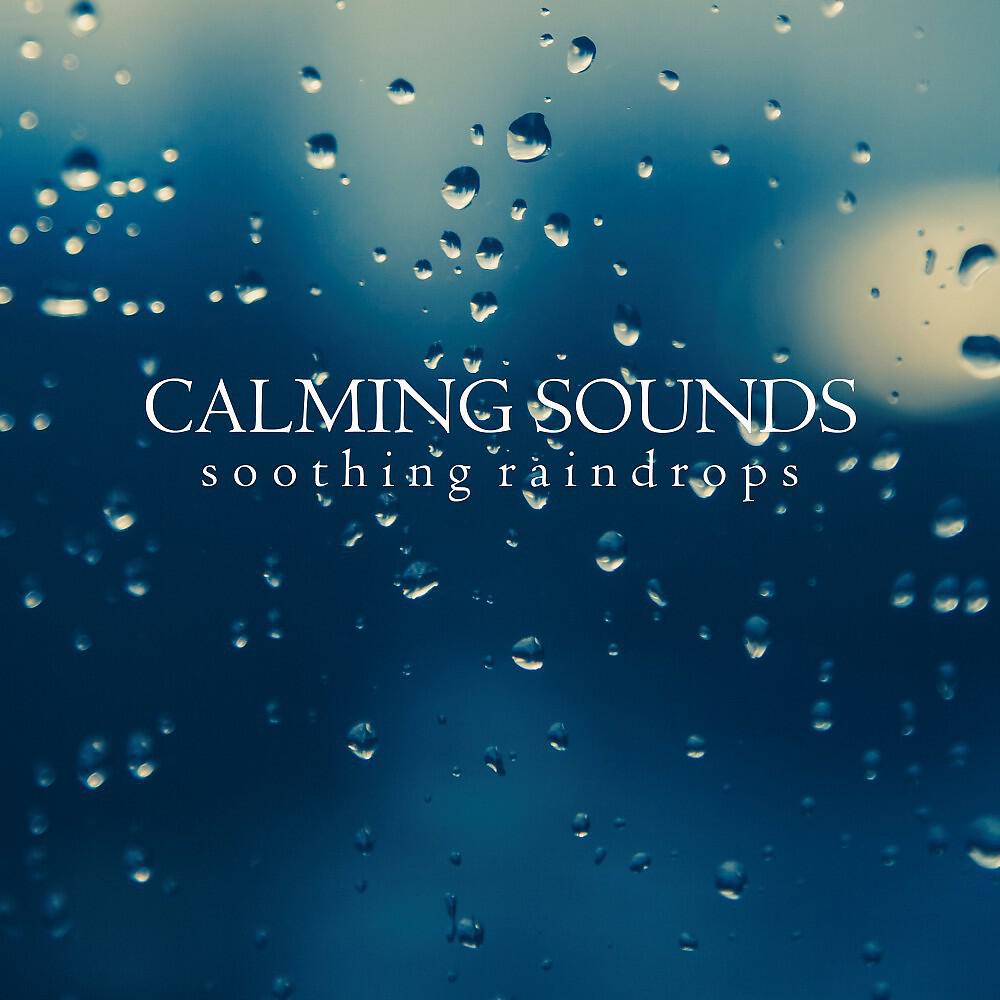 Background Noise From TraxLab - Raindrops Sounds, Pt. 15