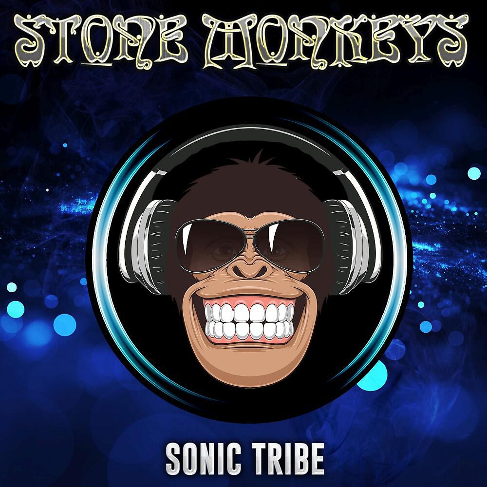 Sonic Tribe - Altruism (Original Mix)