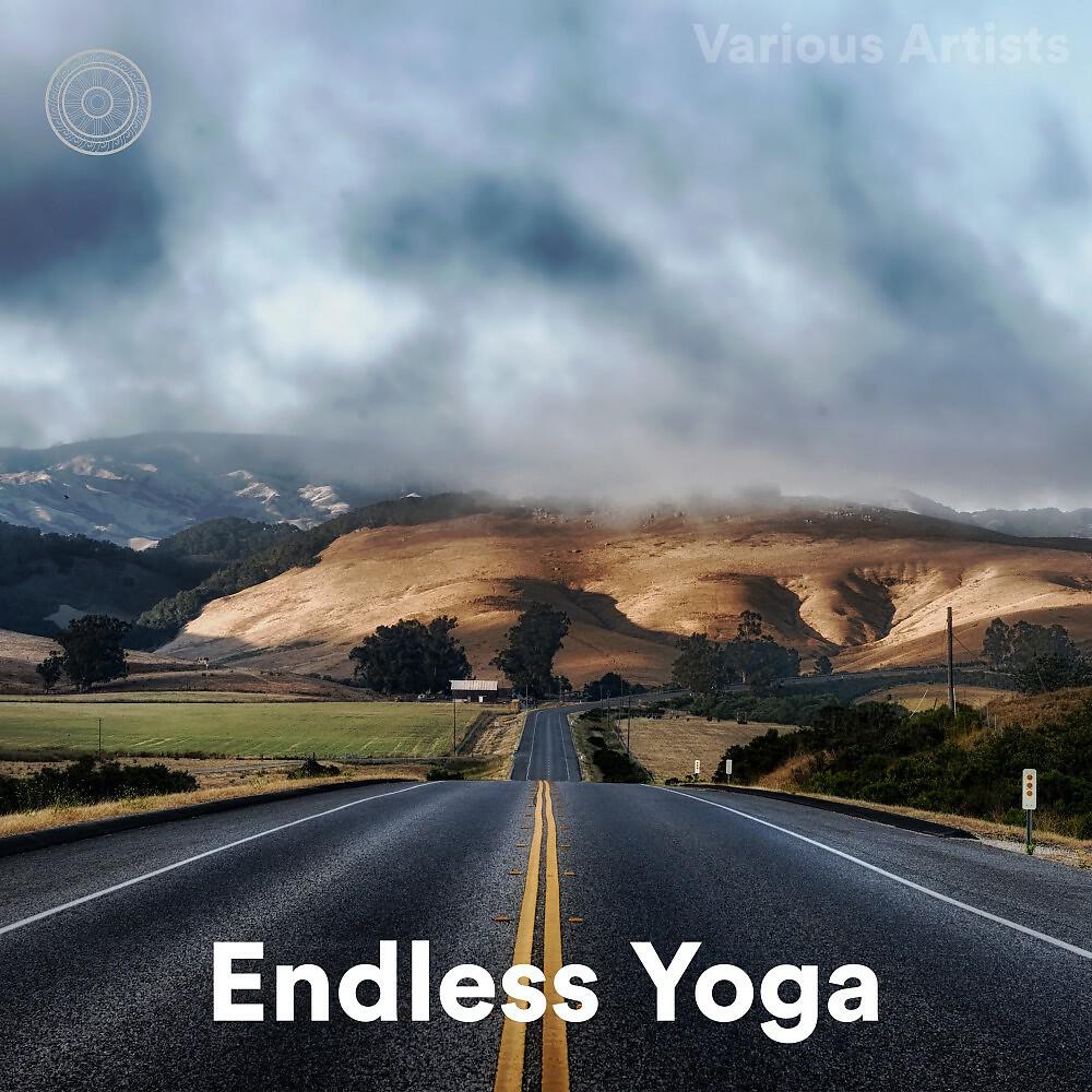 Rishi of the Himalaya - Chaturanga Dandasana