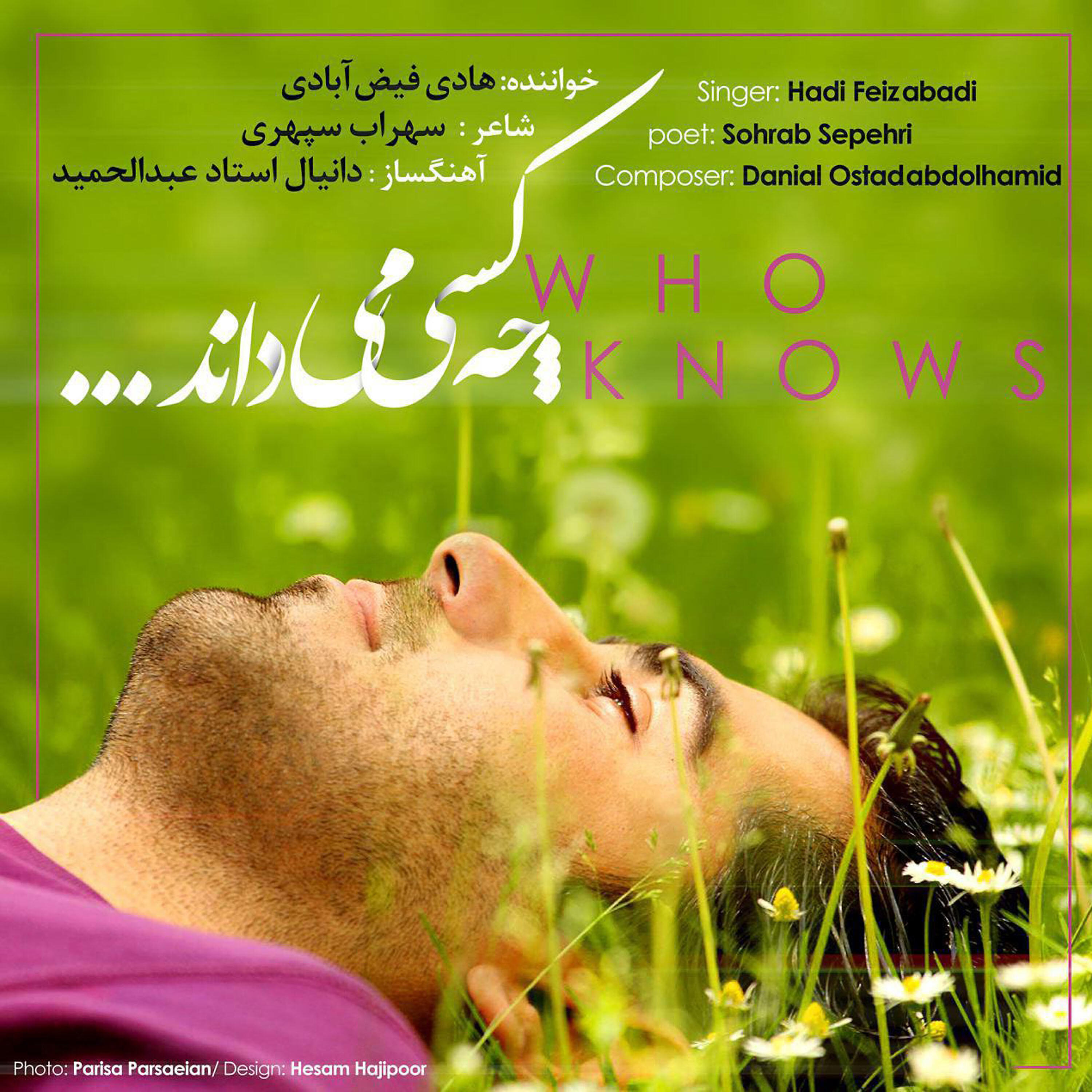 Hadi Feizabadi - Che Kasi Midanad