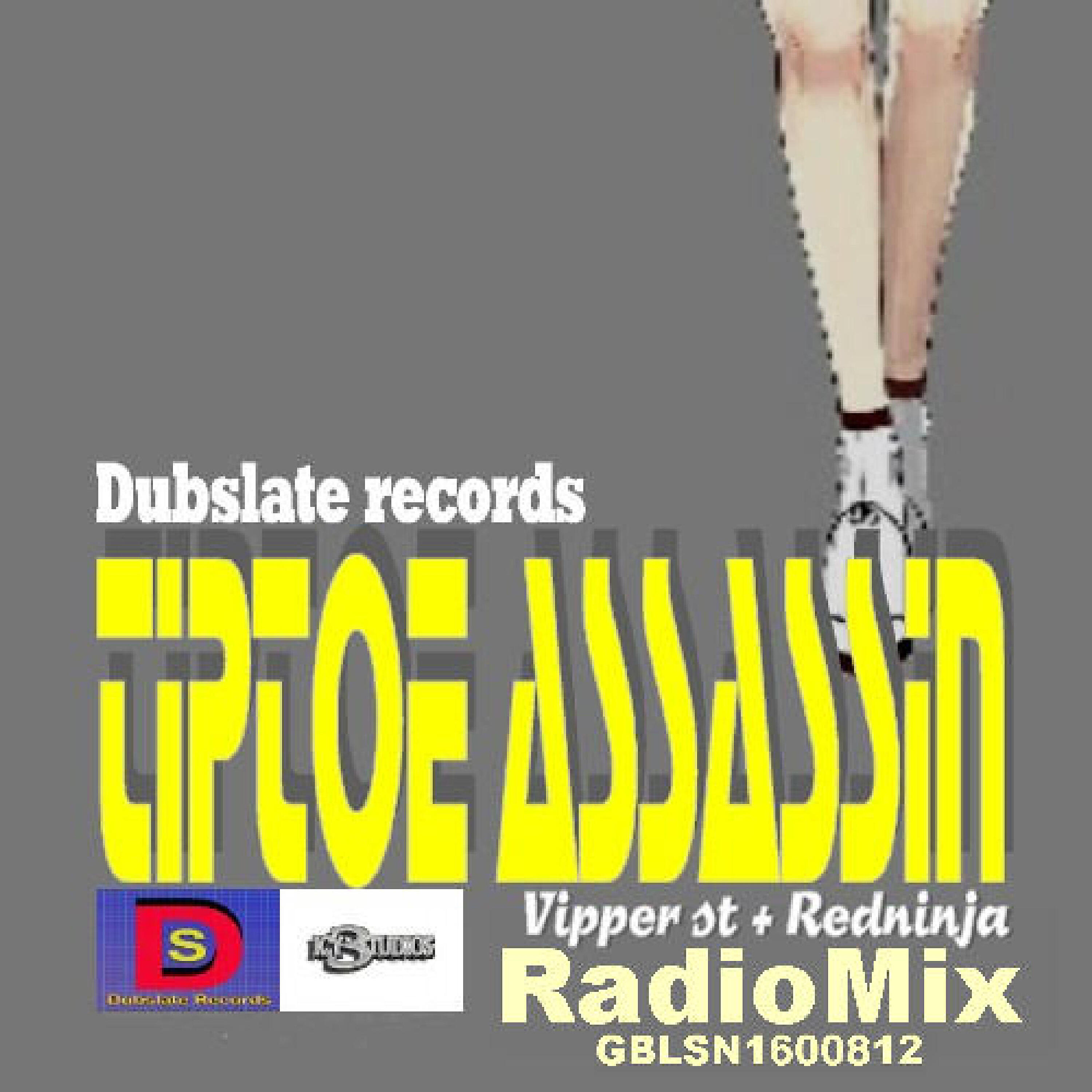 Dubslate records - Tiptoe Assassin (Radiomix)